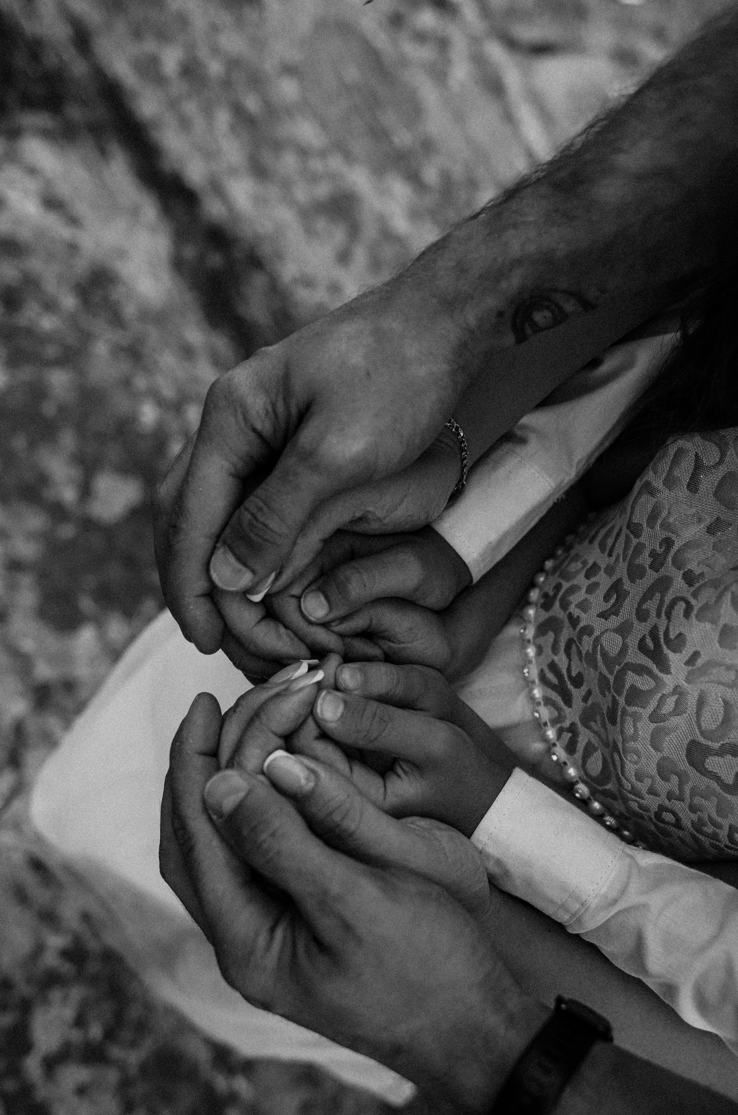 Семья Пьянковых