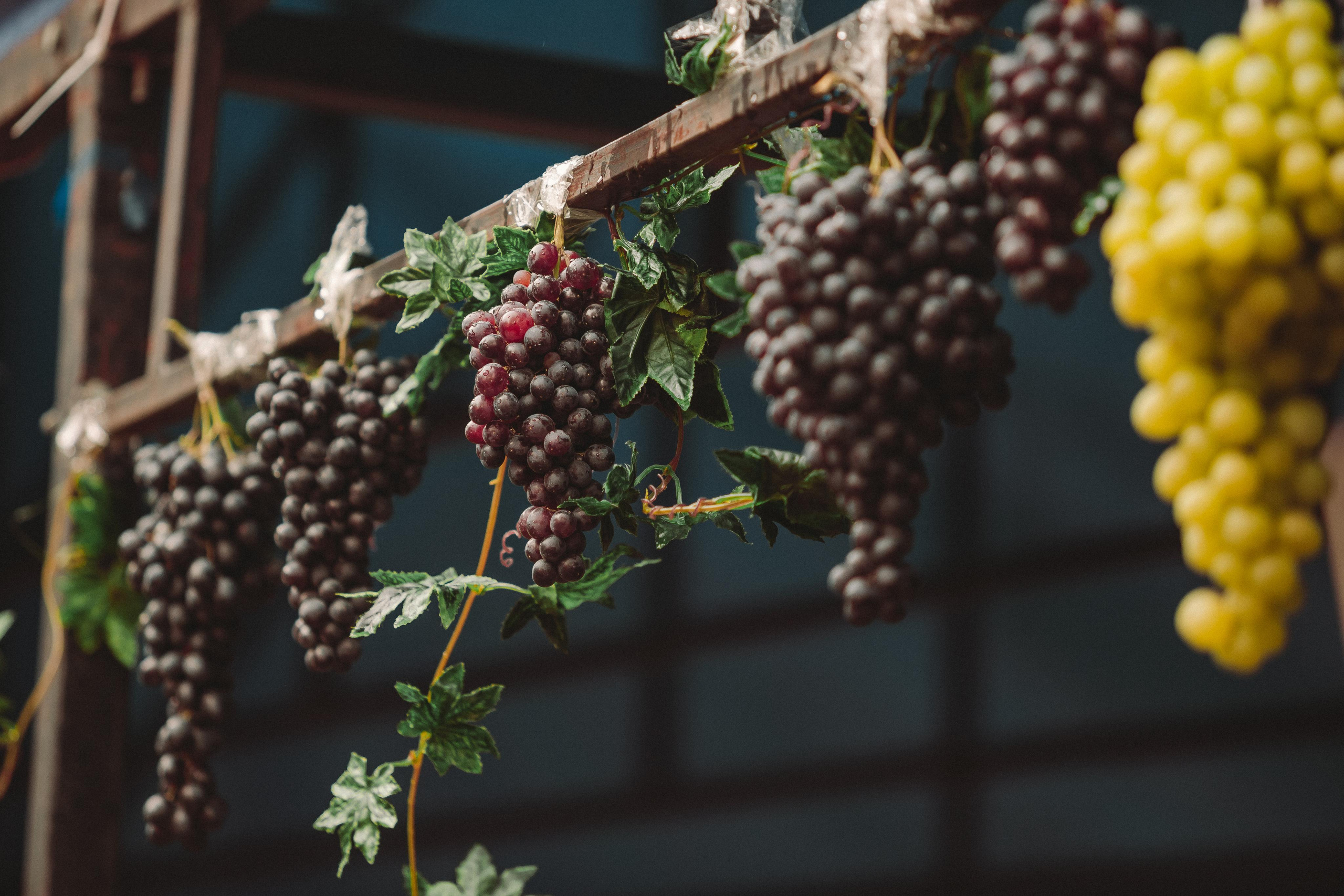 ФЕСТИВАЛЬ ЛУГНАСАД. Photographer Sonkina Tatiana (Tanya Ash)