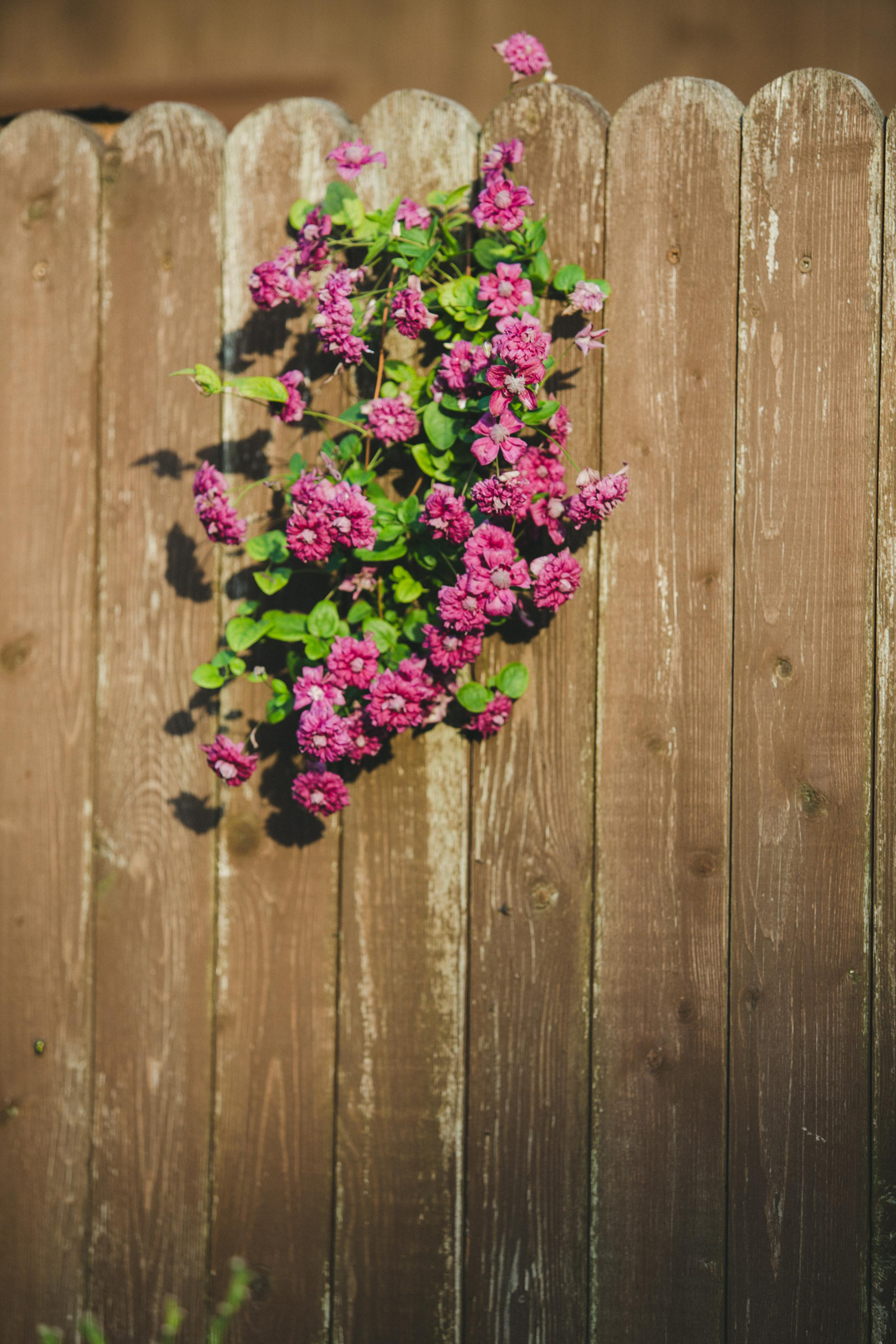 Коллекция пейзажных фотографий. Photographer Sonkina Tatiana (Tanya Ash)