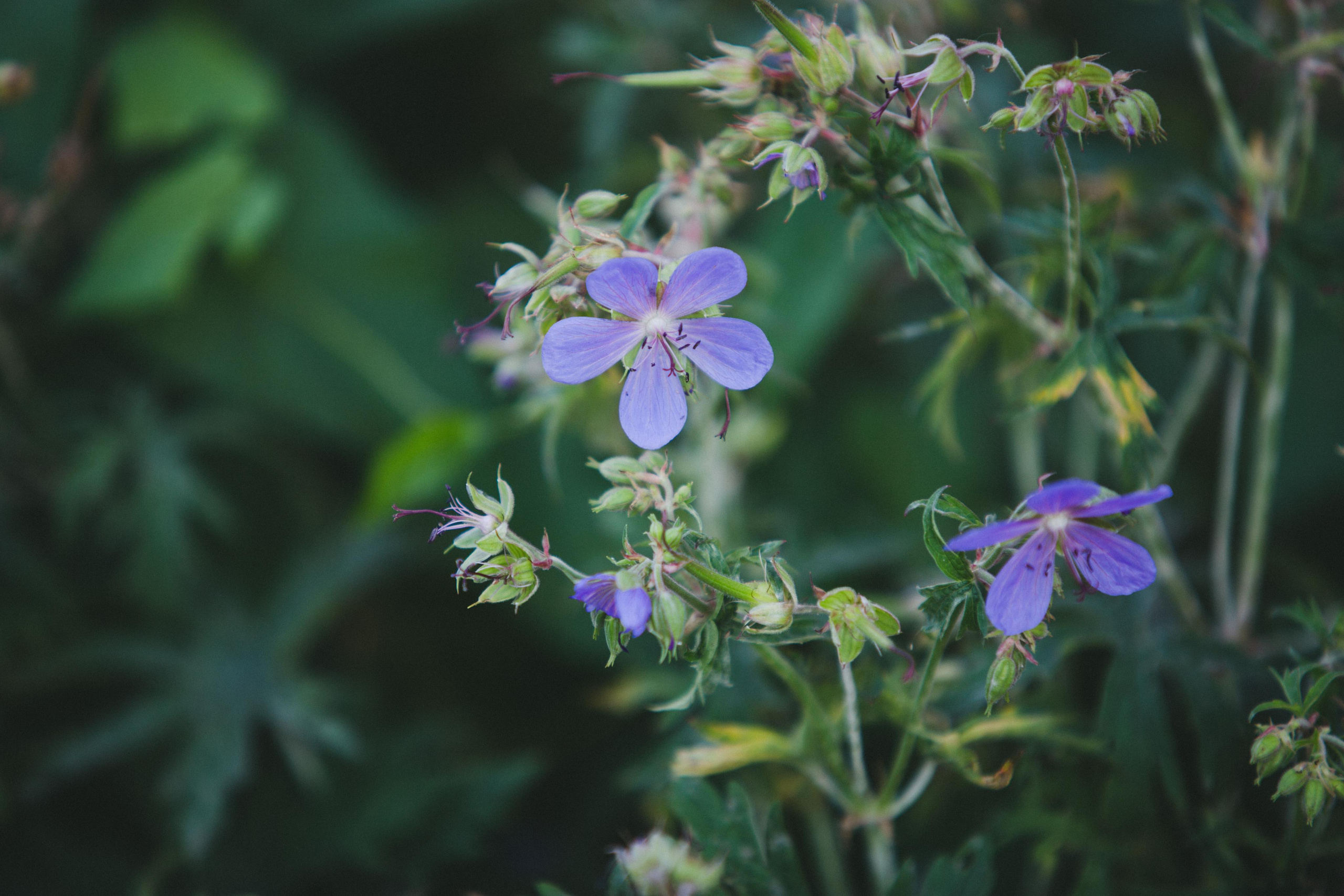 Коллекция пейзажных фотографий. Photographer Sonkina Tatiana (Tanya Ash)