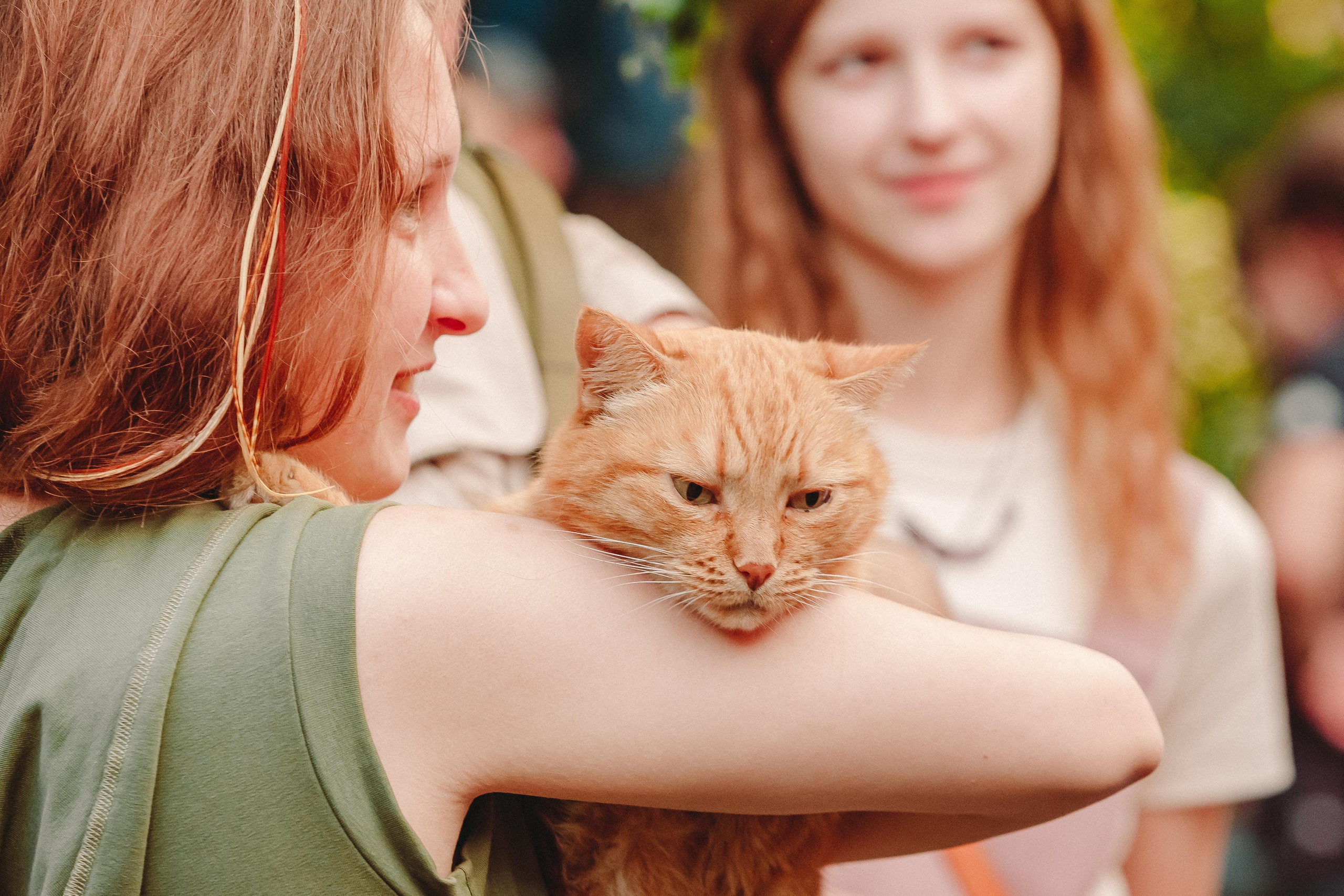ФЕСТИВАЛЬ ЛУГНАСАД. Photographer Sonkina Tatiana (Tanya Ash)