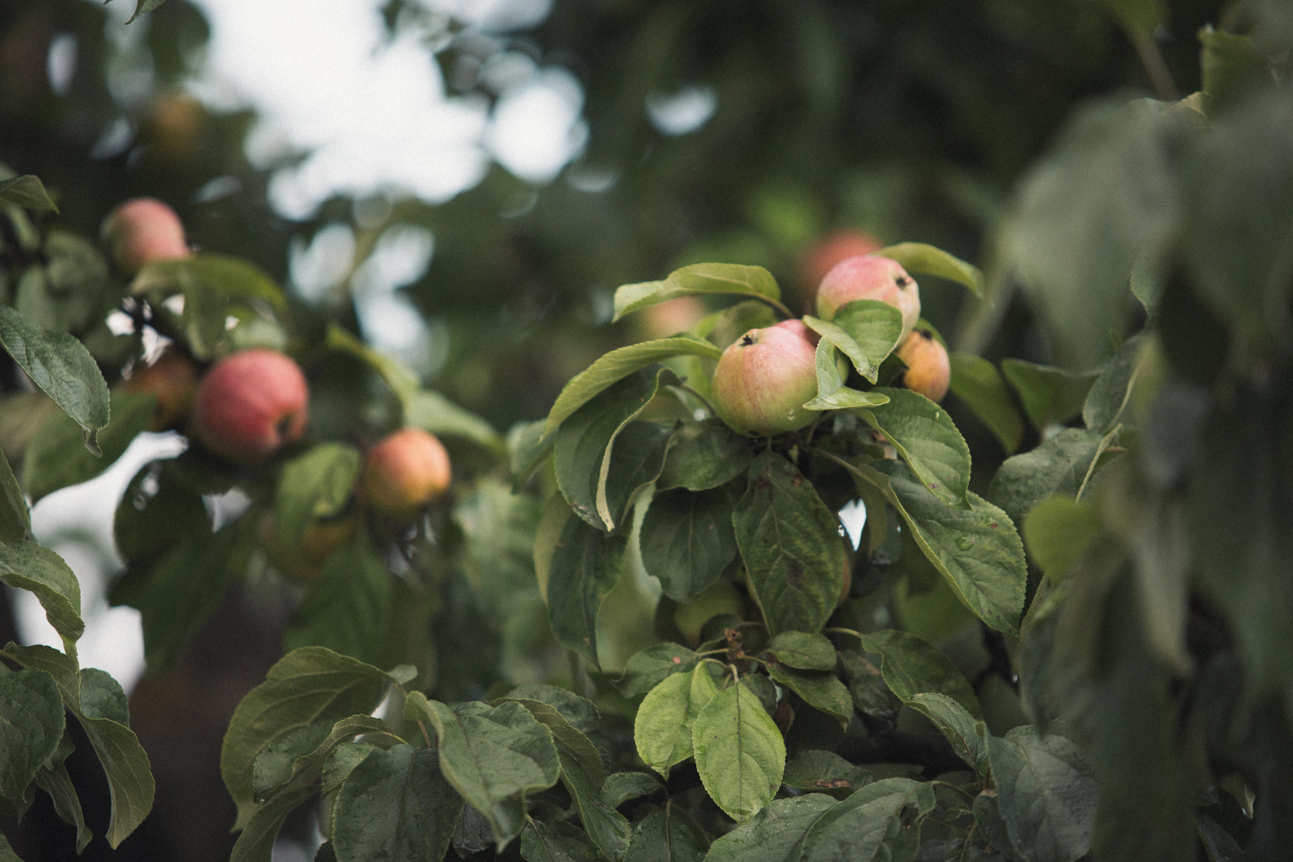 Коллекция пейзажных фотографий. Photographer Sonkina Tatiana (Tanya Ash)