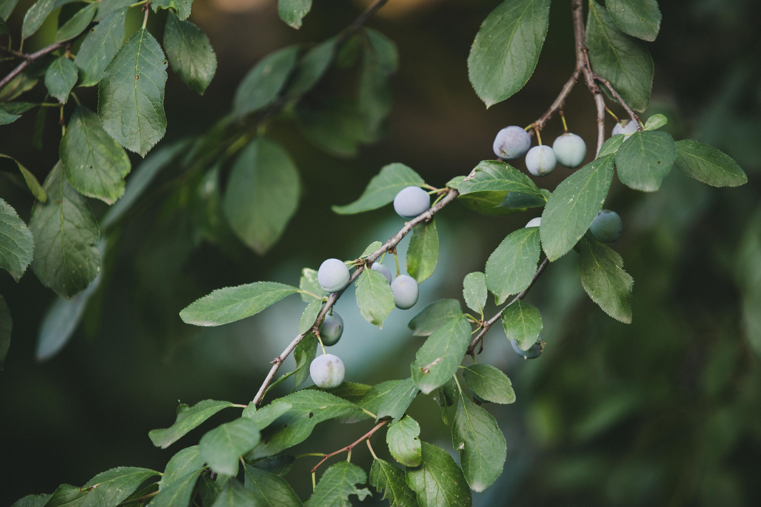 Коллекция пейзажных фотографий. Photographer Sonkina Tatiana (Tanya Ash)