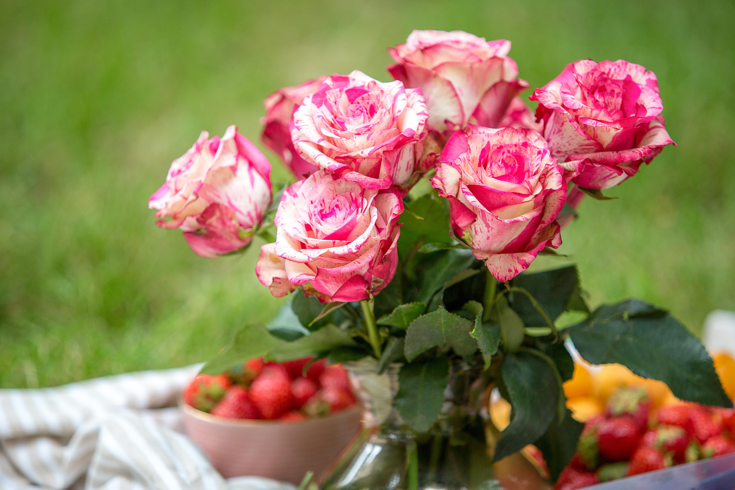 ДНИ РОЖДЕНИЯ/ДЕВИЧНИКИ. Фотограф Сонкина Татьяна