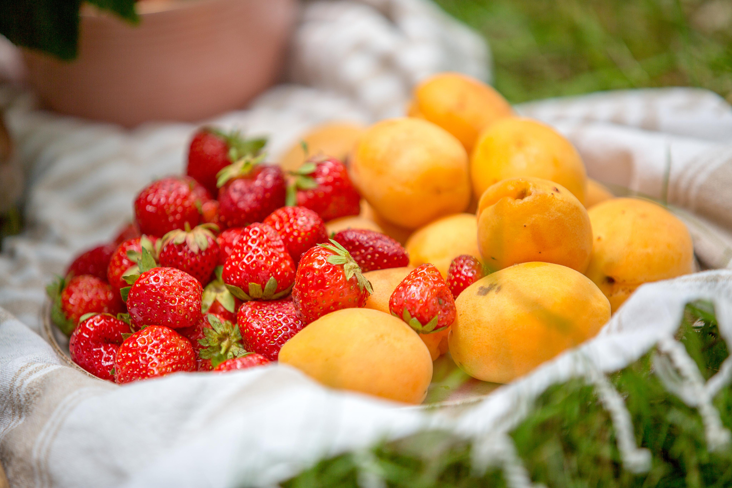 ДНИ РОЖДЕНИЯ/ДЕВИЧНИКИ. Фотограф Сонкина Татьяна