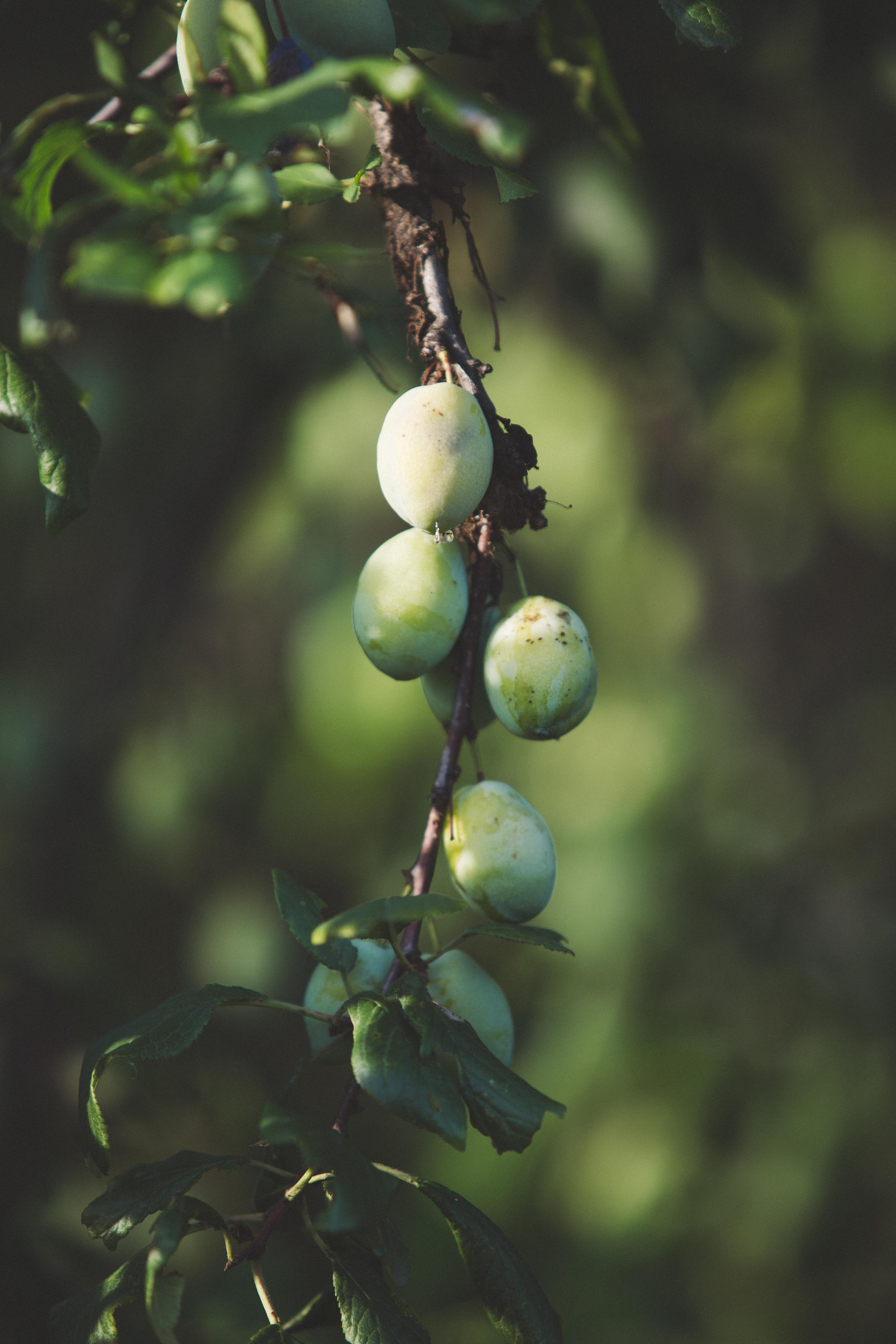 Коллекция пейзажных фотографий. Photographer Sonkina Tatiana (Tanya Ash)