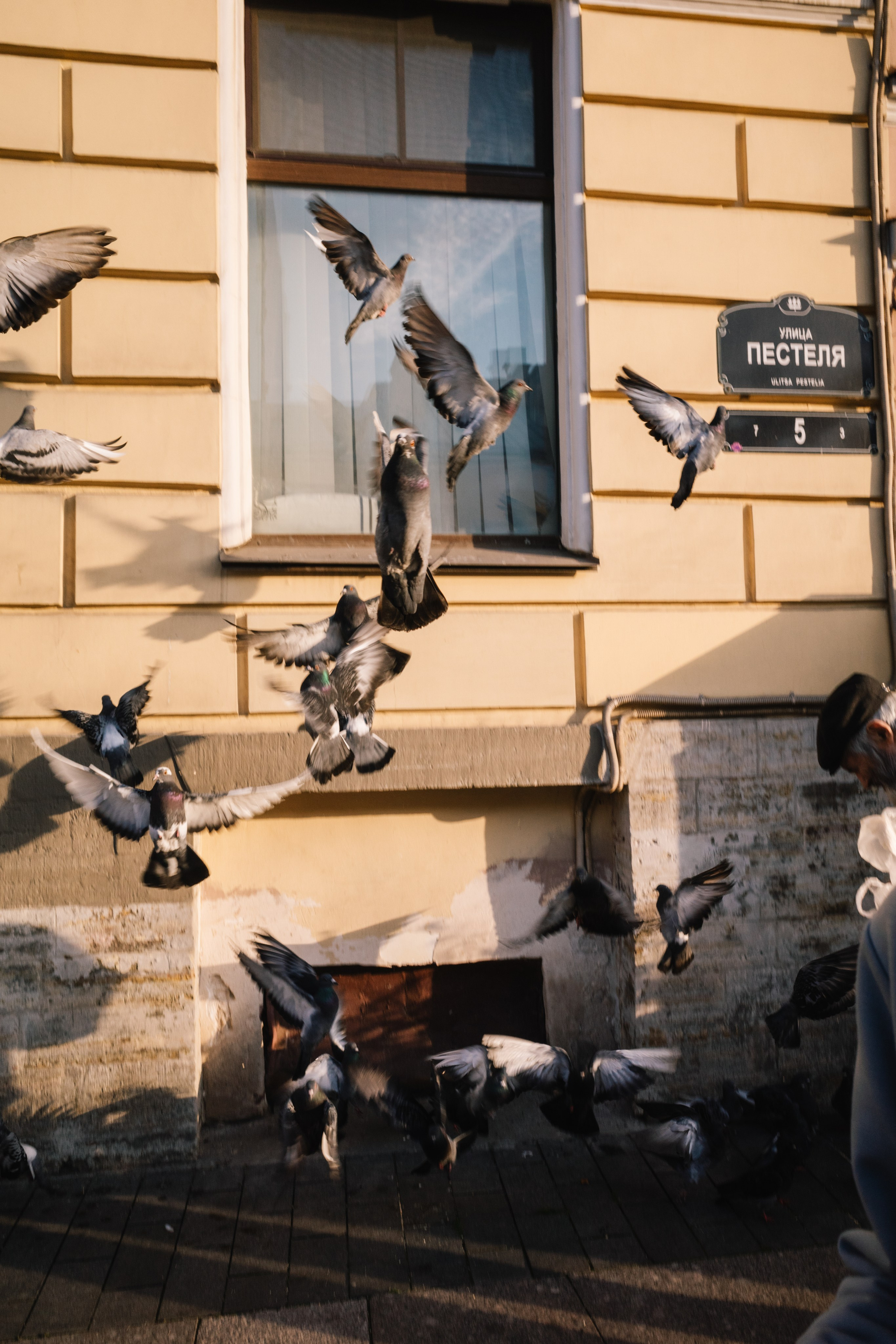 Репортаж. Stanislav Liepa Photography