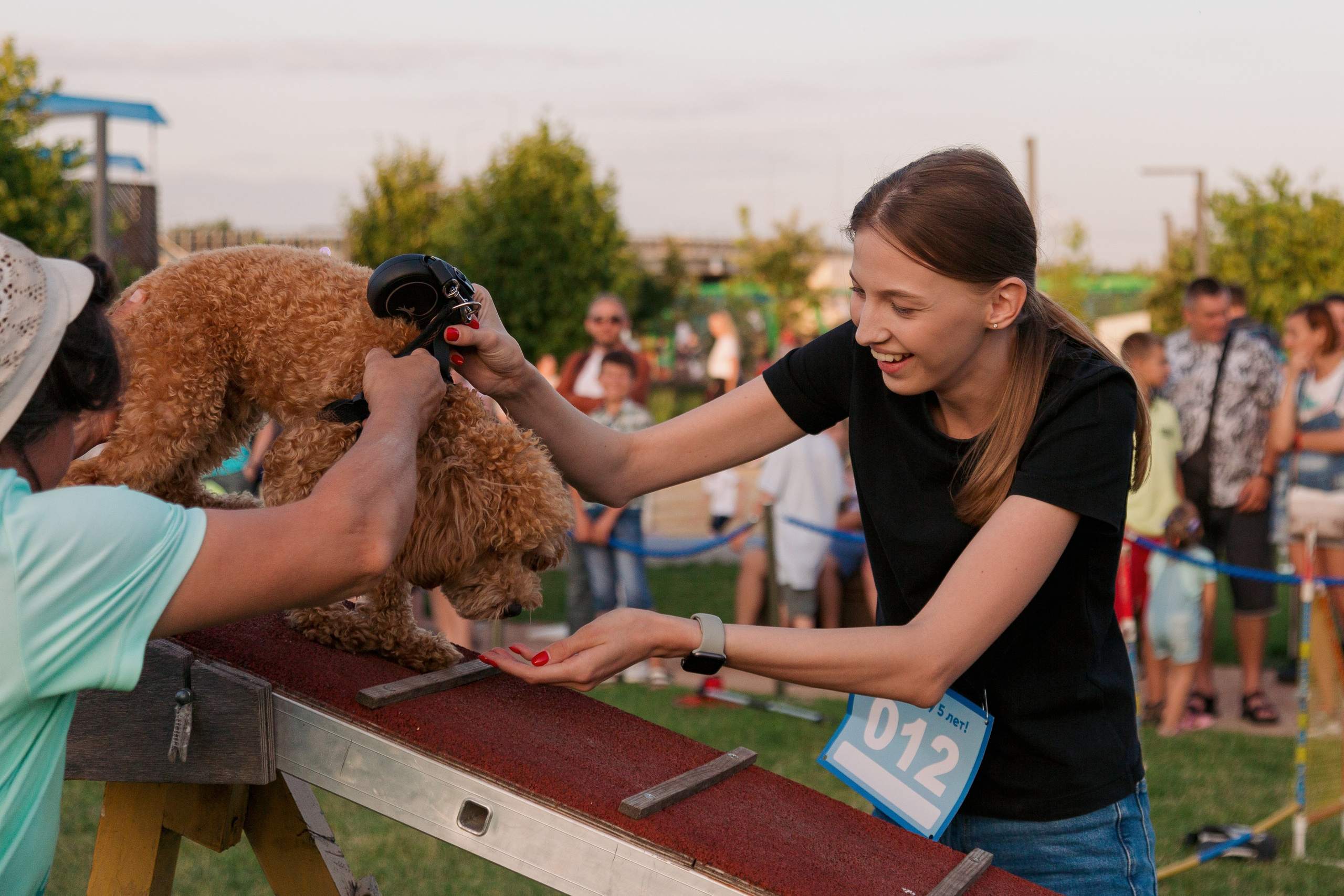 Dog Fest 2024. Главная
