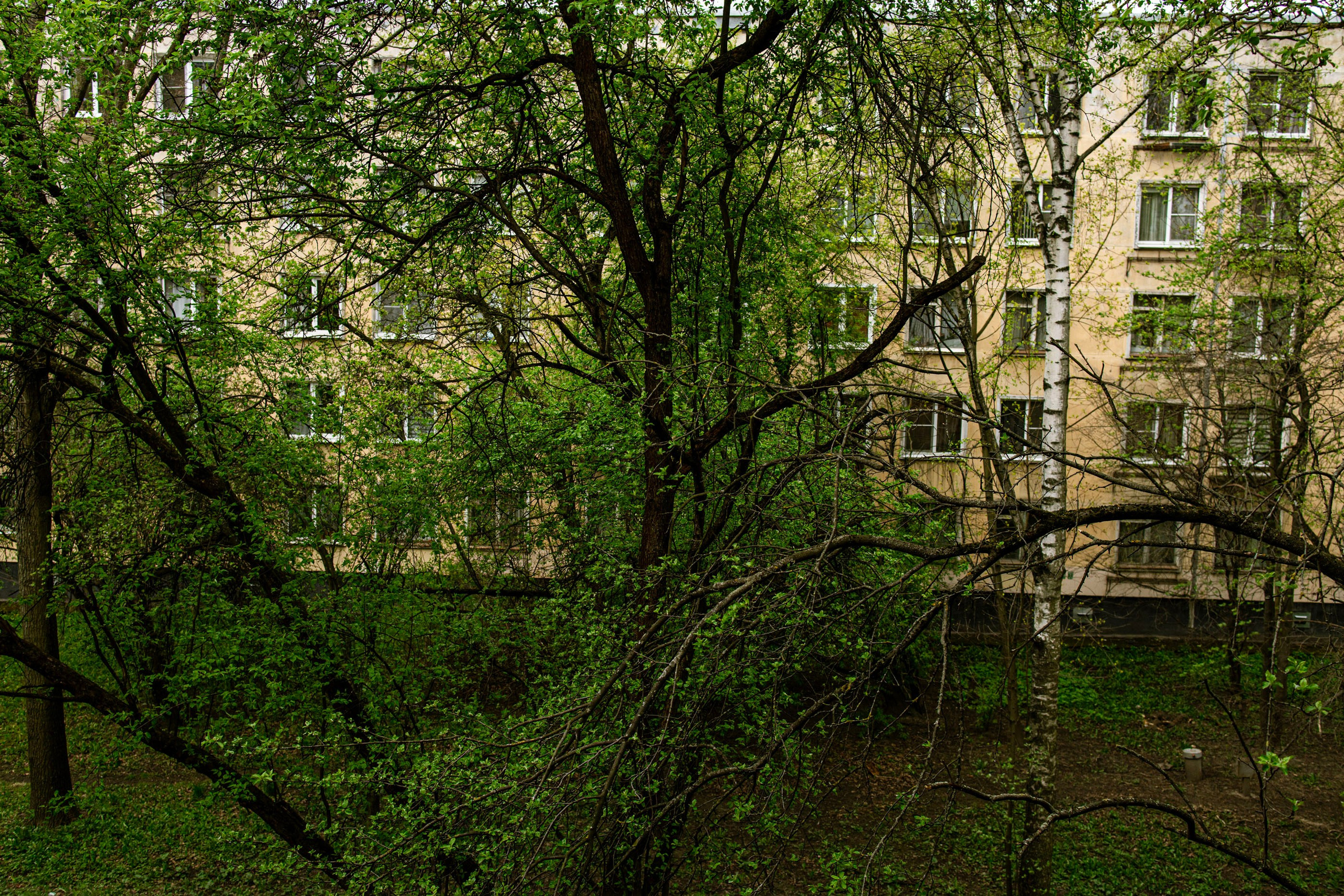 После дождя. Самид Али, фотограф из Санкт-Петербурга, Россия