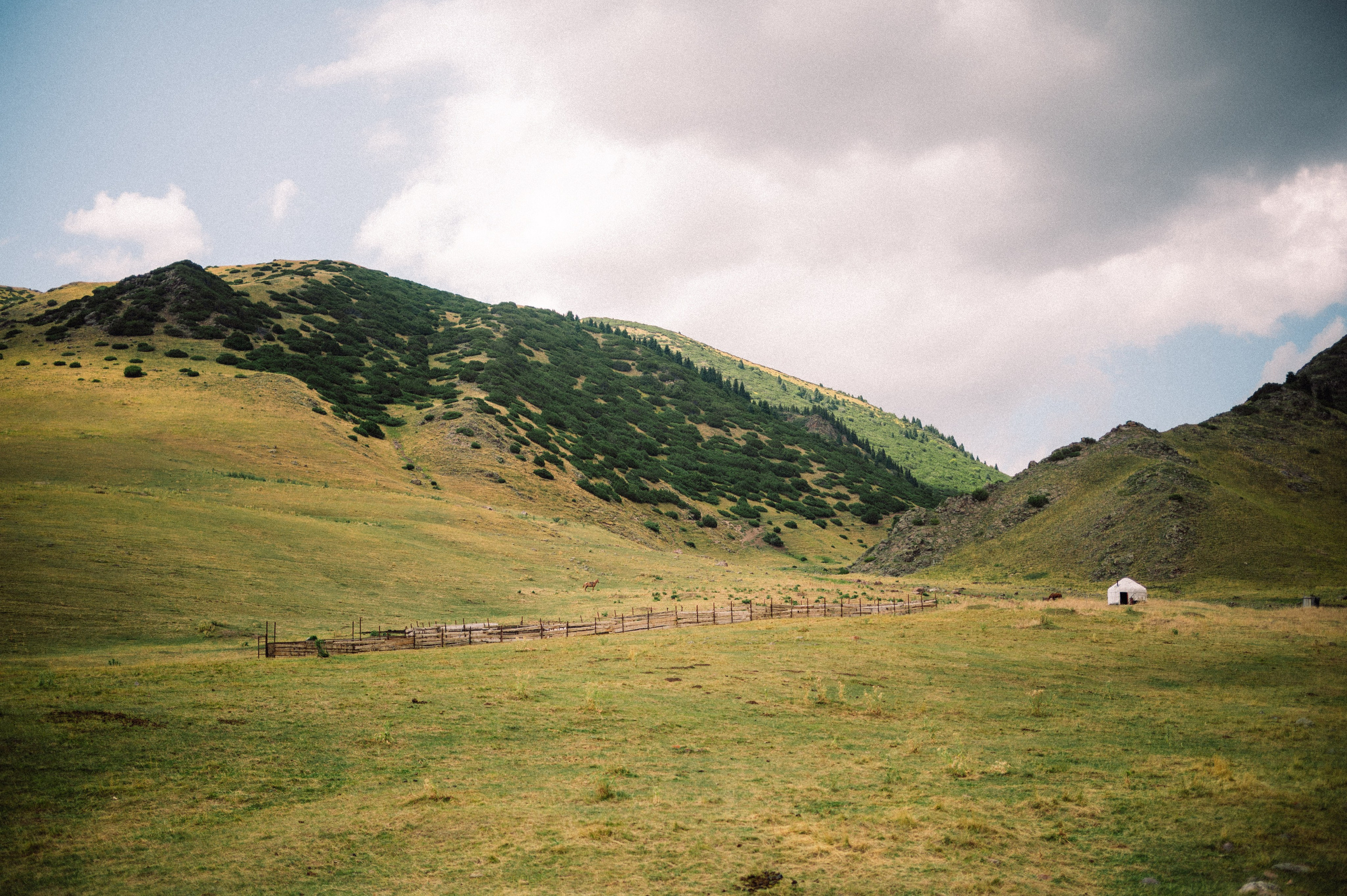 Плато Ассы: июль 2025. Фотограф в Алматы — Дарья Фёдорова