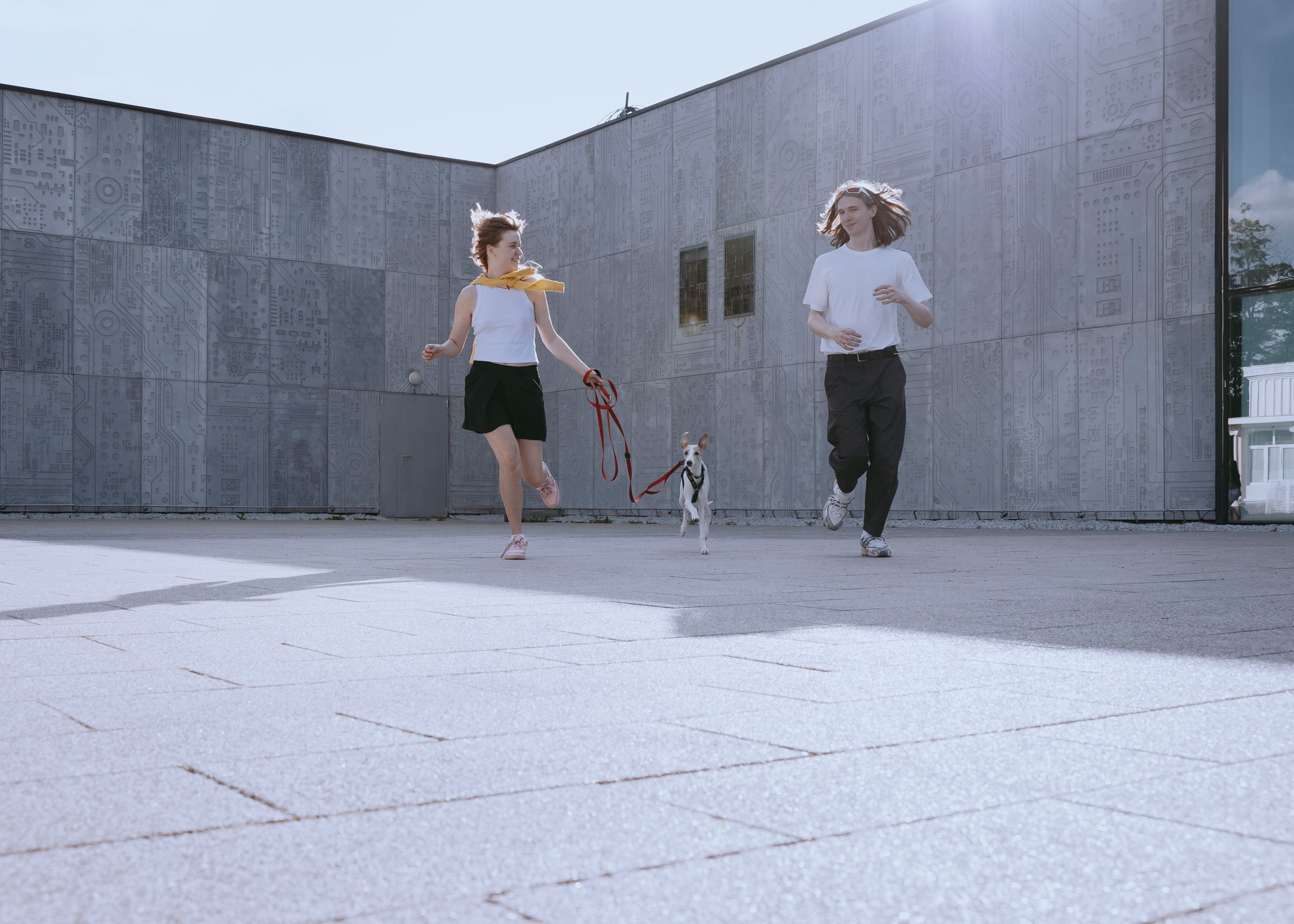 Ветка. Фотограф- анималист Александра Матвеева