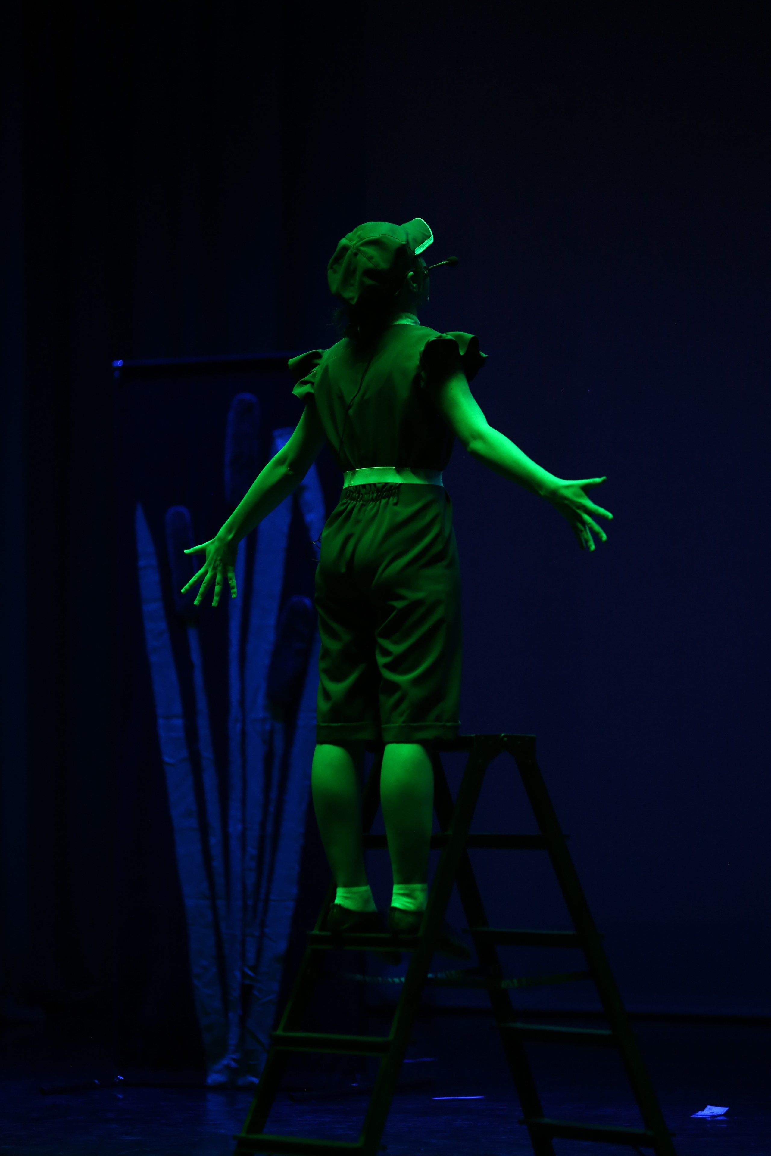 ТС ФАНТАЗИЯ — БЕНЕФИС 25 ЛЕТ. Профессиональный фотограф в Мценске и Орловской области