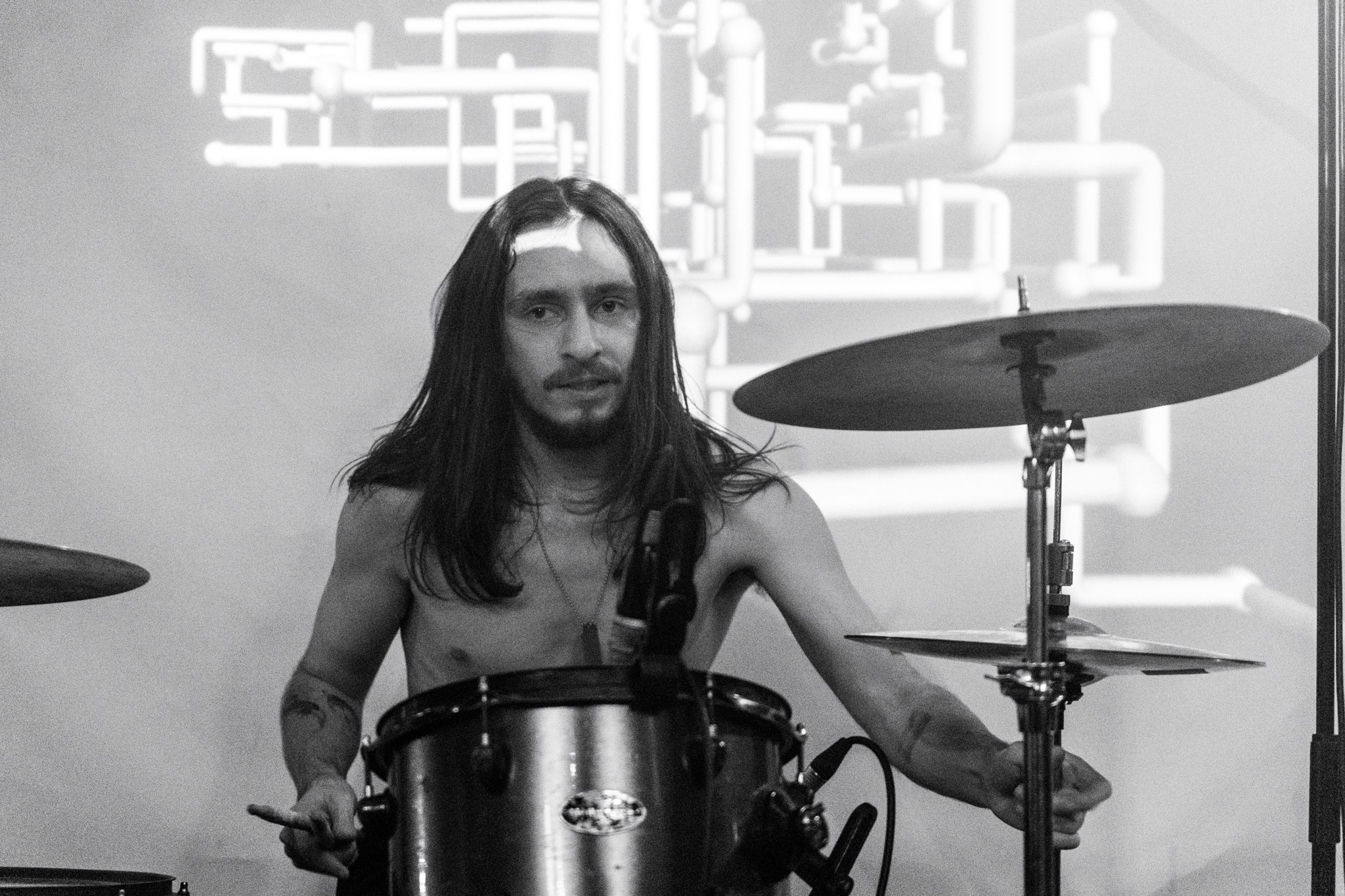 Змееед, Apodemus, 20.12.25, TAGO)))MAGO)))