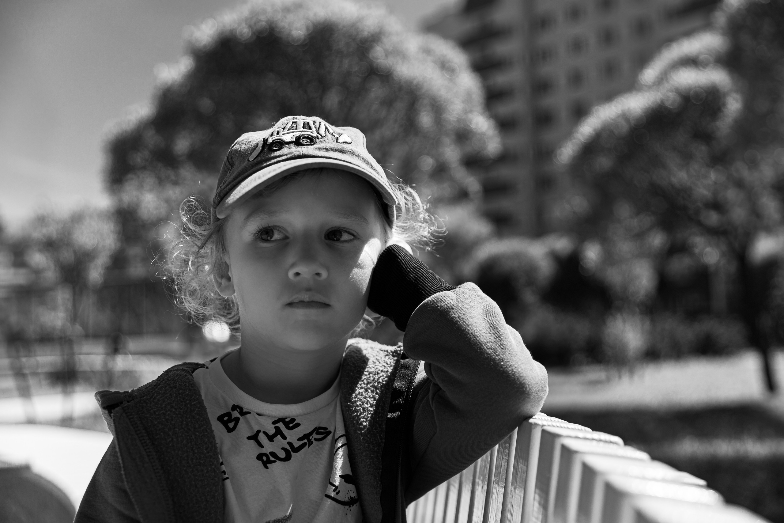 Лев и солнце. Фотосессии в студии СПб Портретный фотограф — Юрий Торлопов