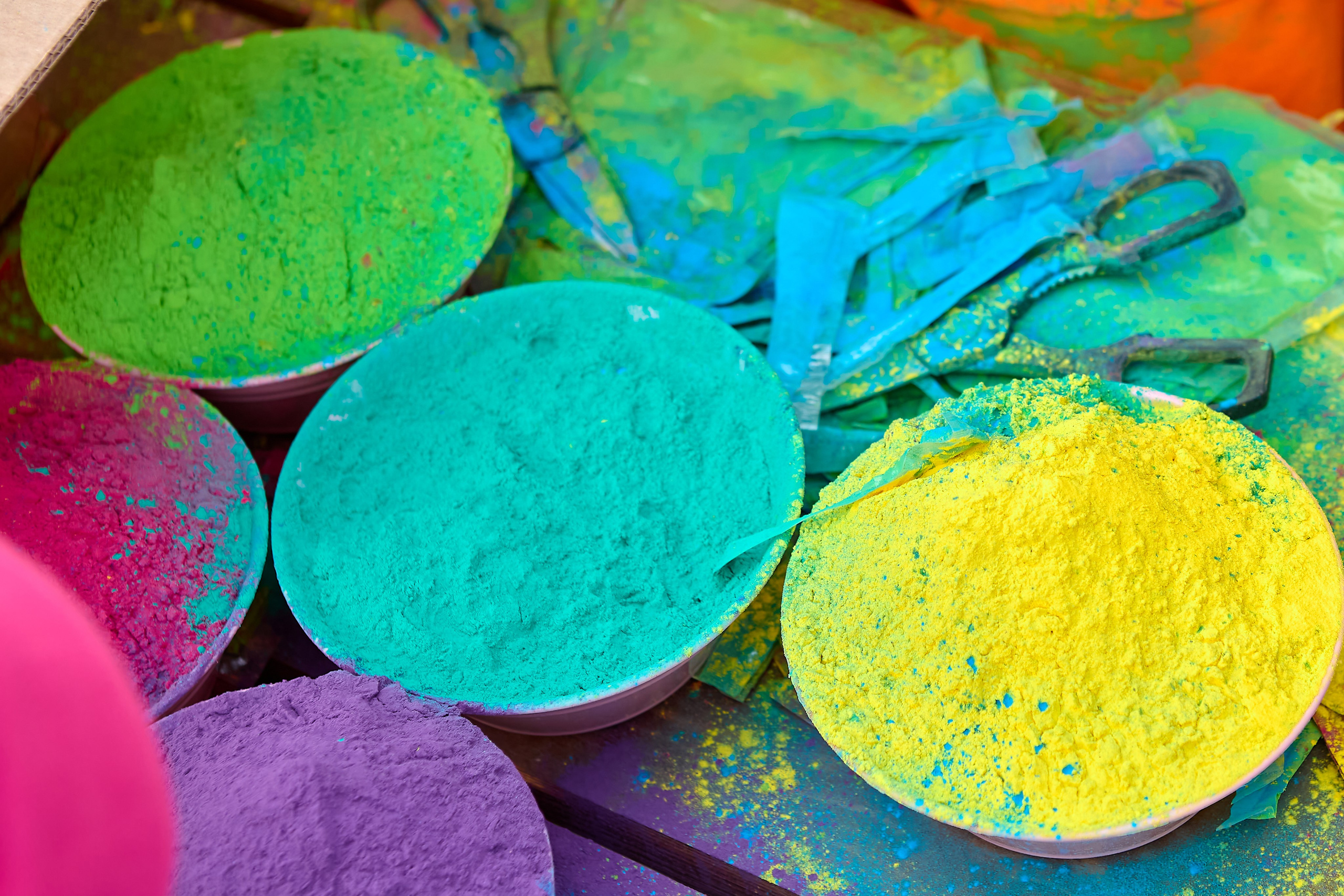 Краски Холли. Фотограф Анастасия Лёвушкина