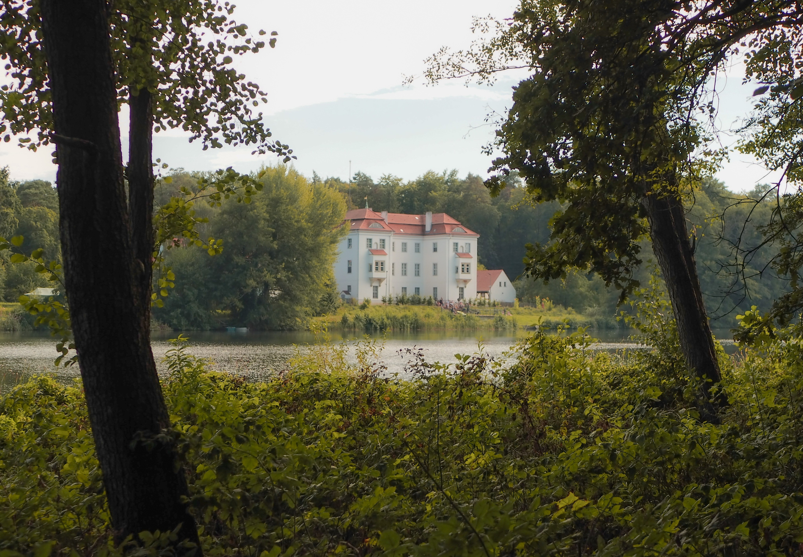 Berlin. Grunewald. Reportage photographer in Berlin Alexandra German