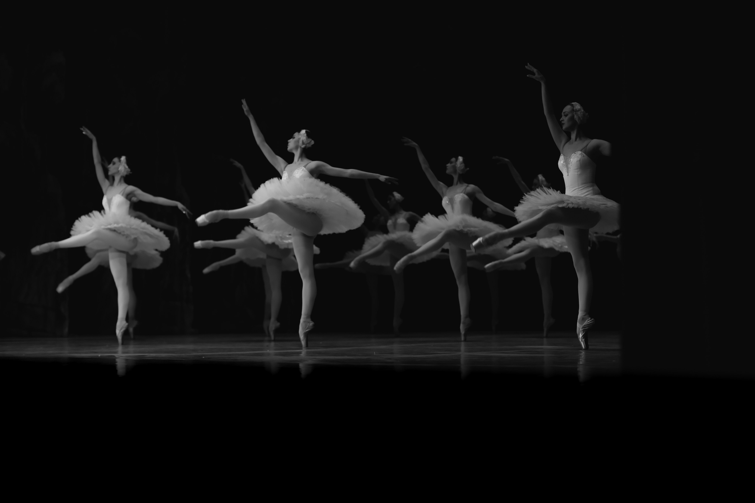 Балет «Лебединое озеро». Наталья Алексеенко. Фотохудожник в Москве. Репортаж, портрет, стрит