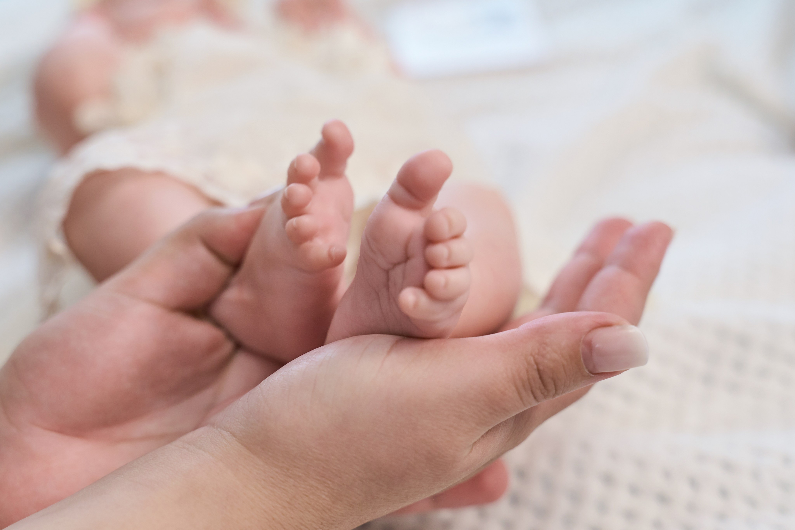 Домашняя съемка. Школьный и семейный фотограф/видеограф в г. Курганинске