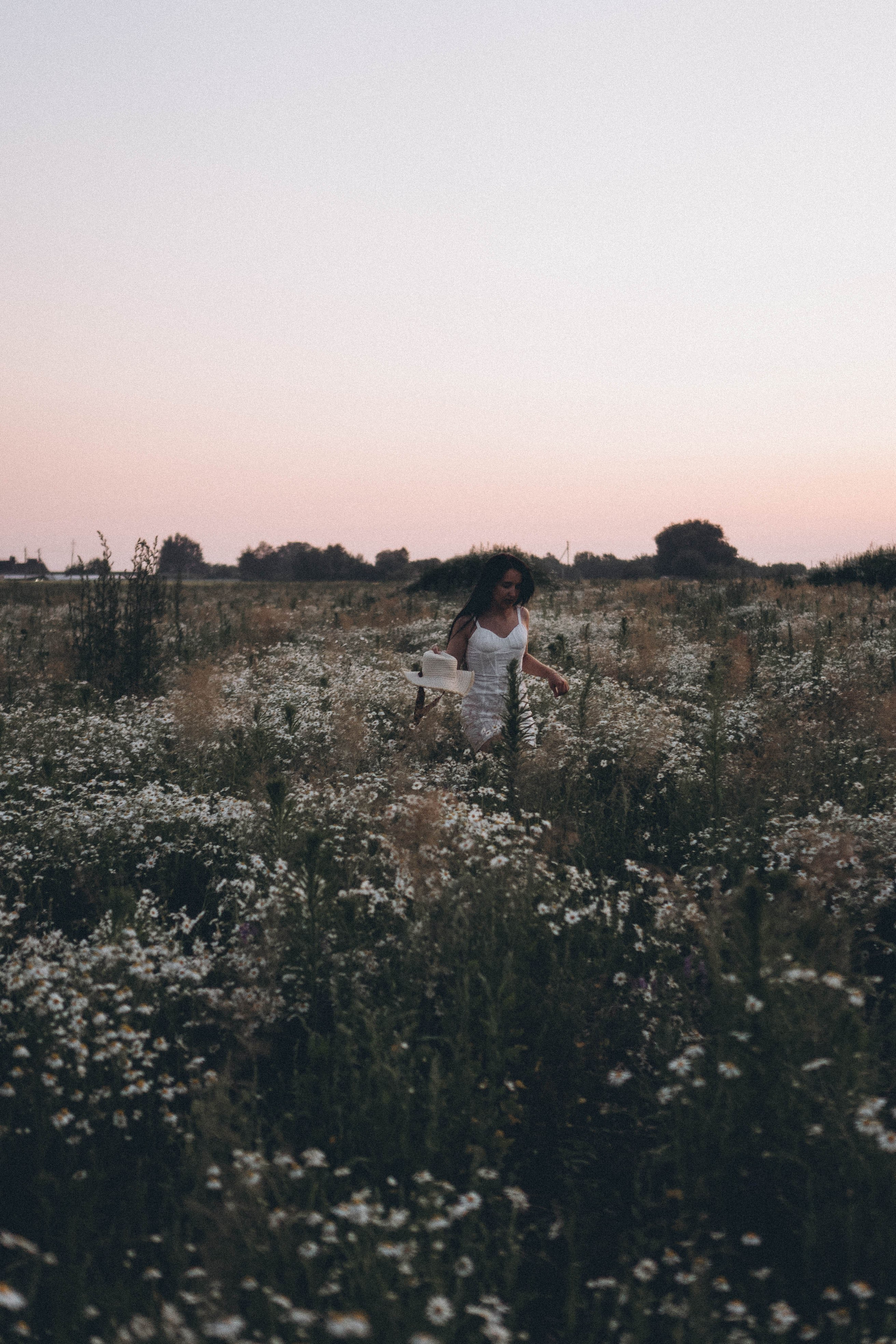 Ромашковое поле. Профессиональный фотограф, Санкт-Петербург — Виктория Богомолова