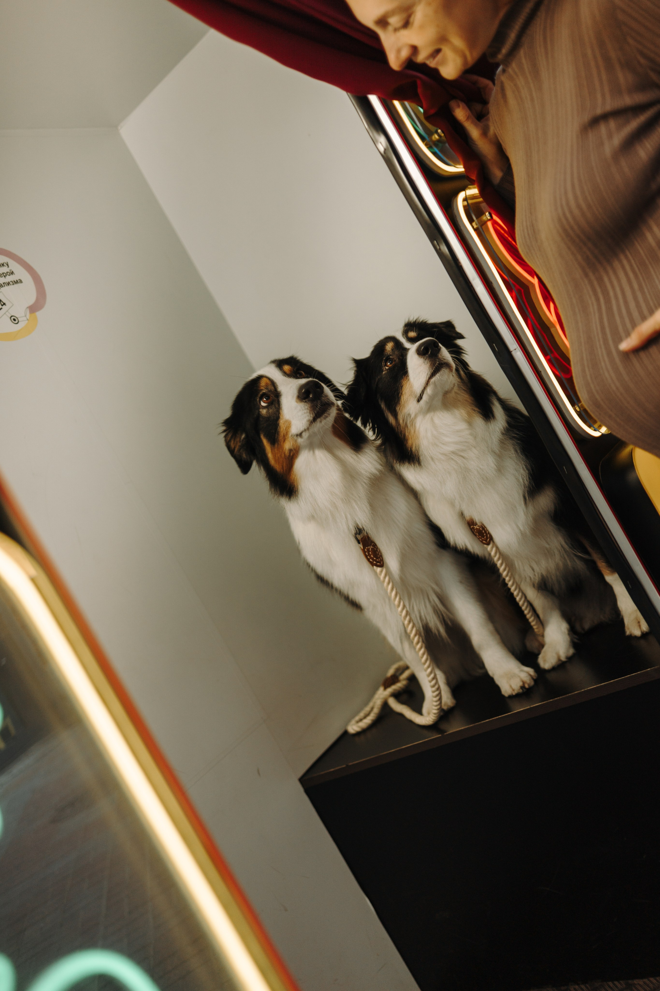 Катя и ее девочки. Фотограф — Анималист | Санкт-Петербург