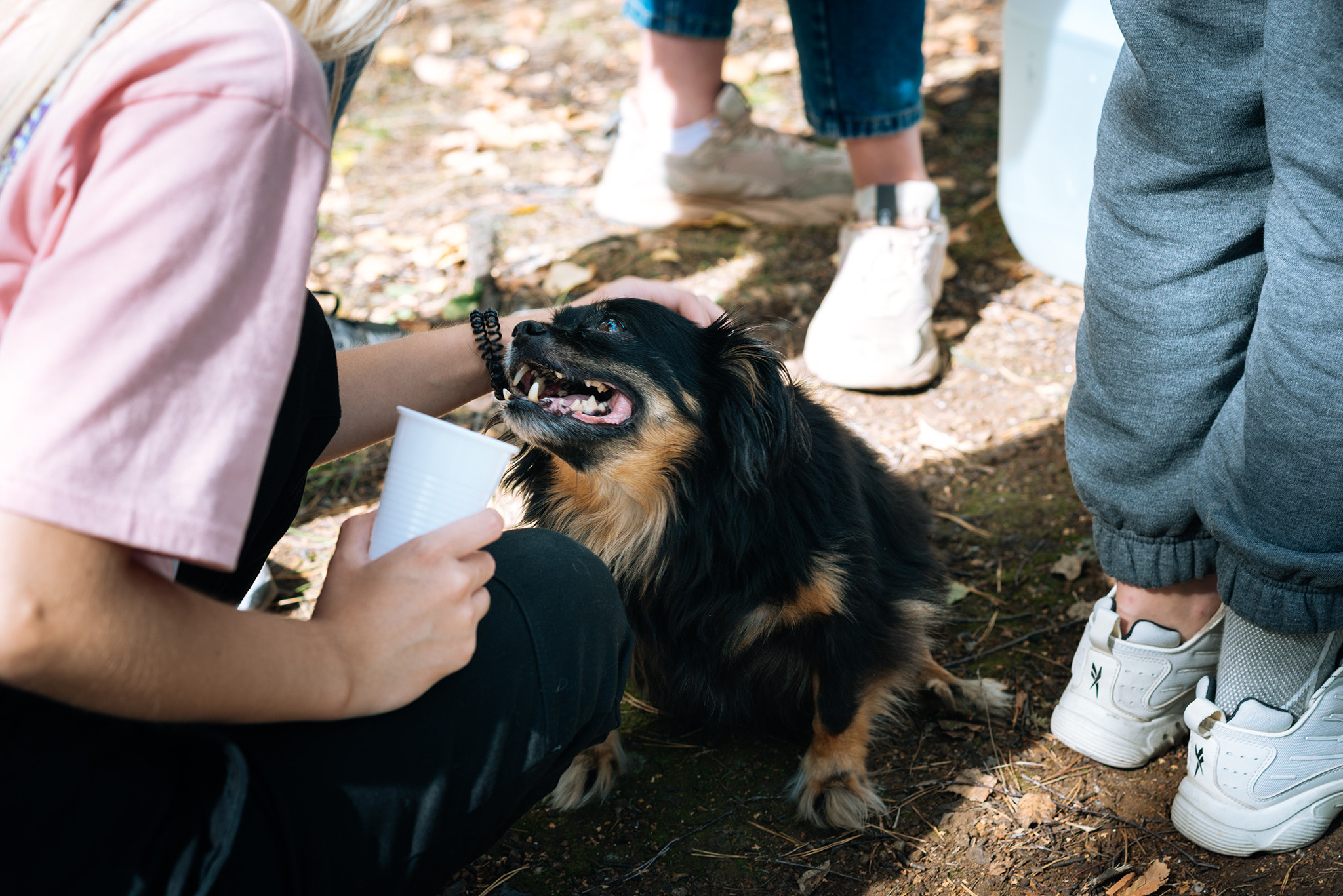 Школьный пикник. Репортажный фотограф в Санкт-Петербурге Анастасия Клёпова