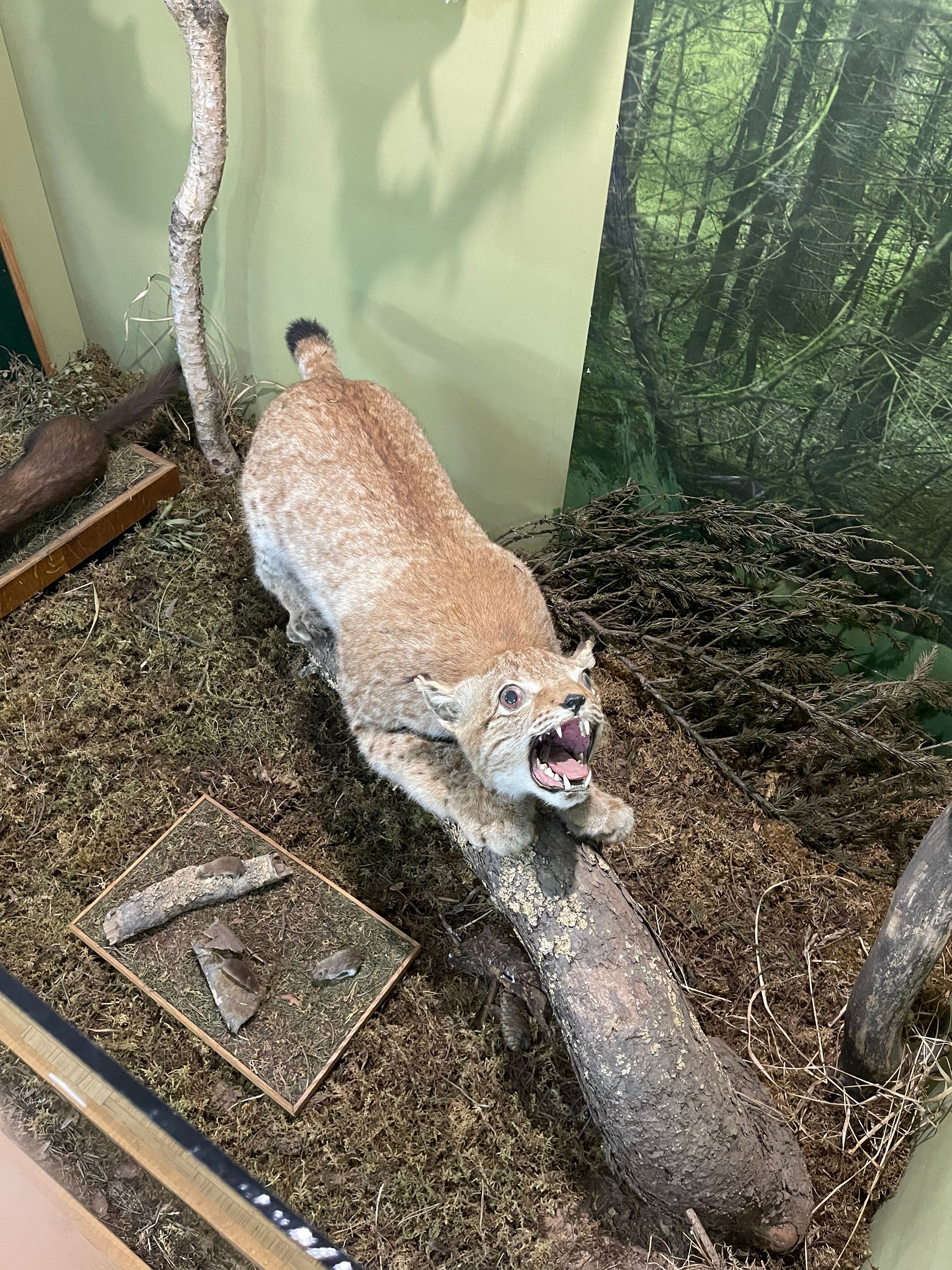 Из Петербурга в Москву. Главная