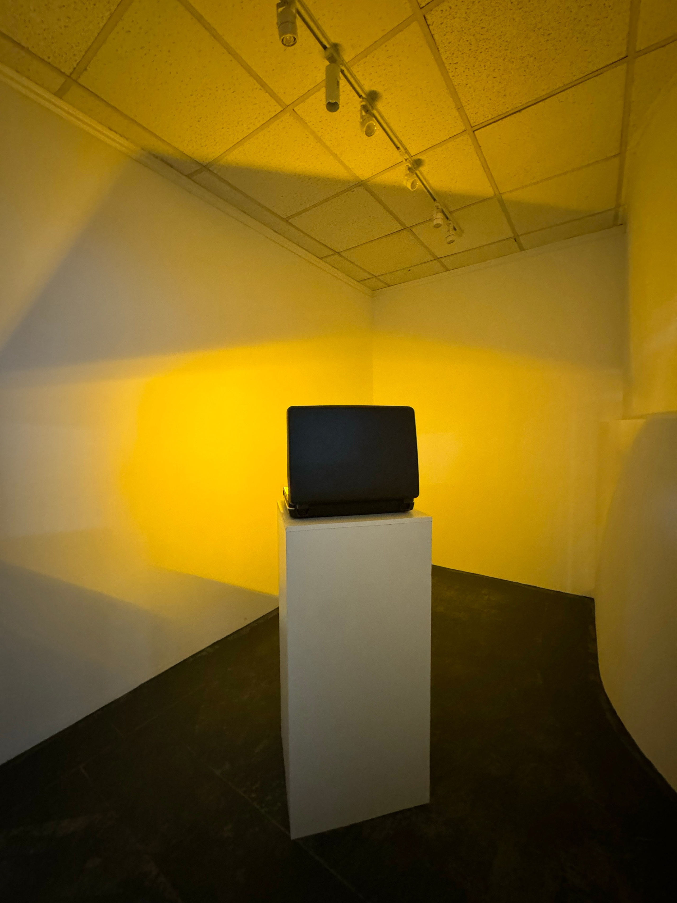 1:1, персональная выставка Виктора Жуковского, 7-22.06.2025, пространство пробел, Ростов-на-Дону. Лера Круглова