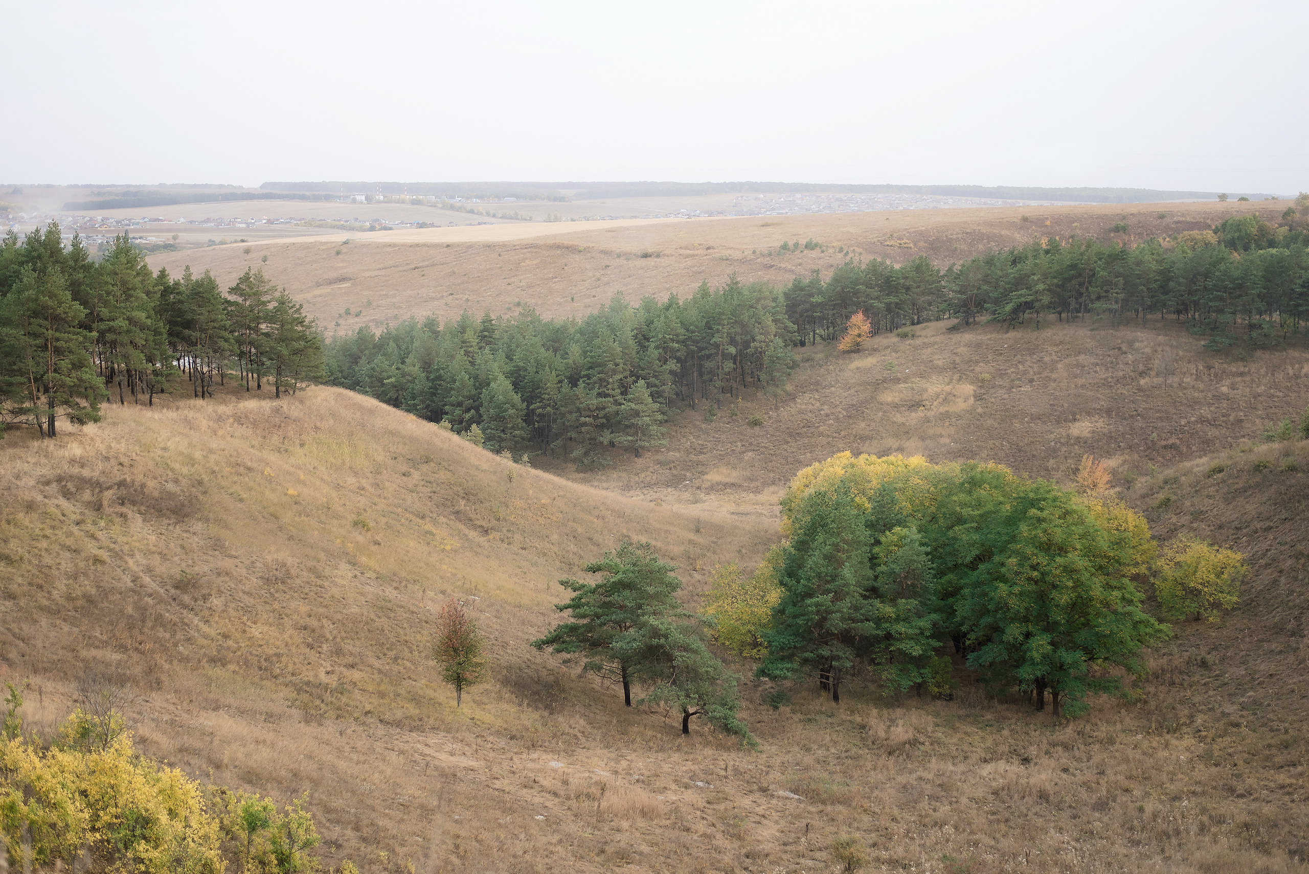 Степан и Валерия. Свадебный фотограф в Белгороде Косилов Денис
