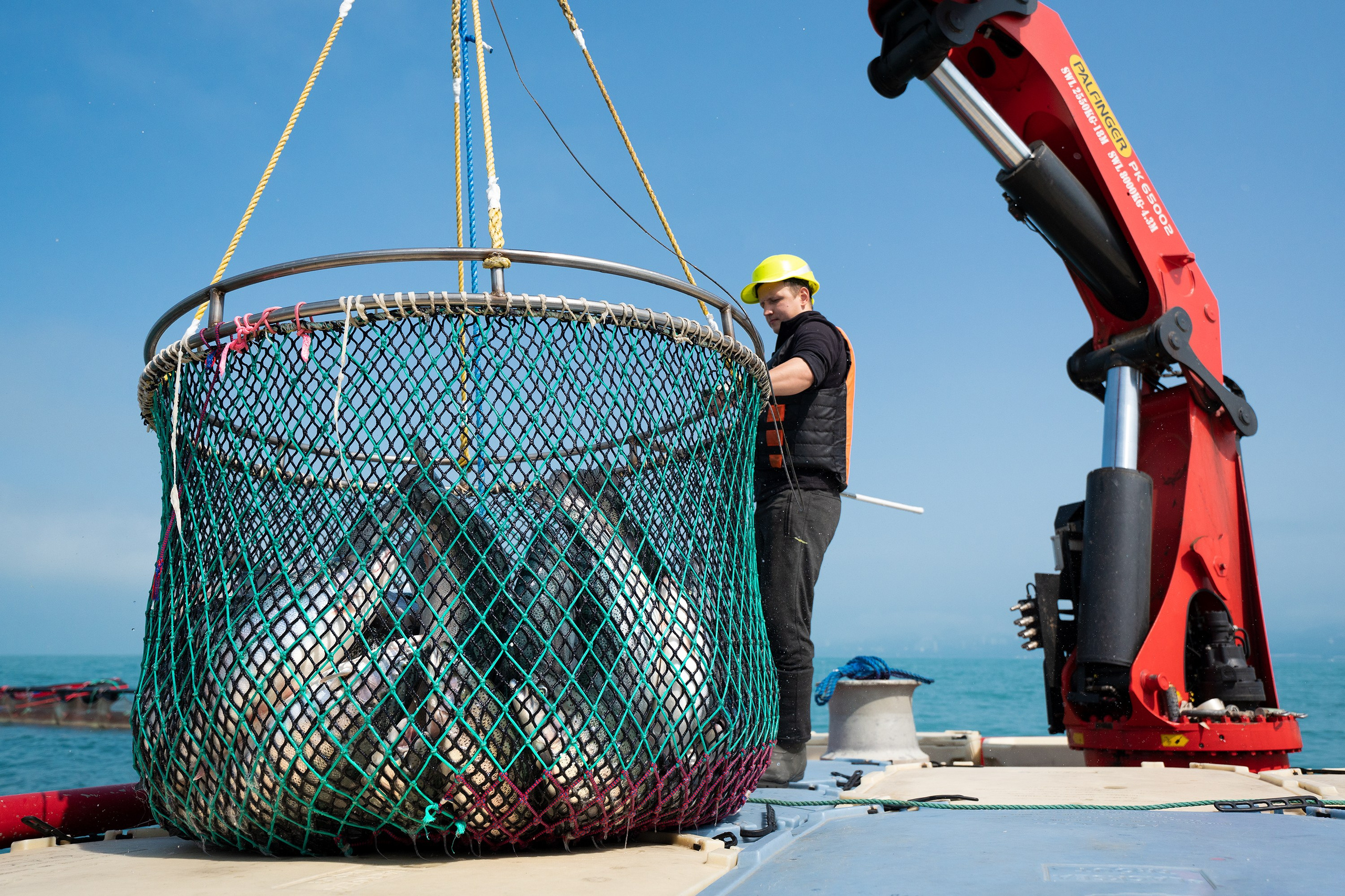 Репортажный фотограф в Сочи — профессиональная съёмка событий и мероприятий. Профессиональная фотосъемка в Сочи: репортаж, предметная, ювелирная фотосъемка, недвижимость, фуд-фотография. Фотограф Александр Афанасьев