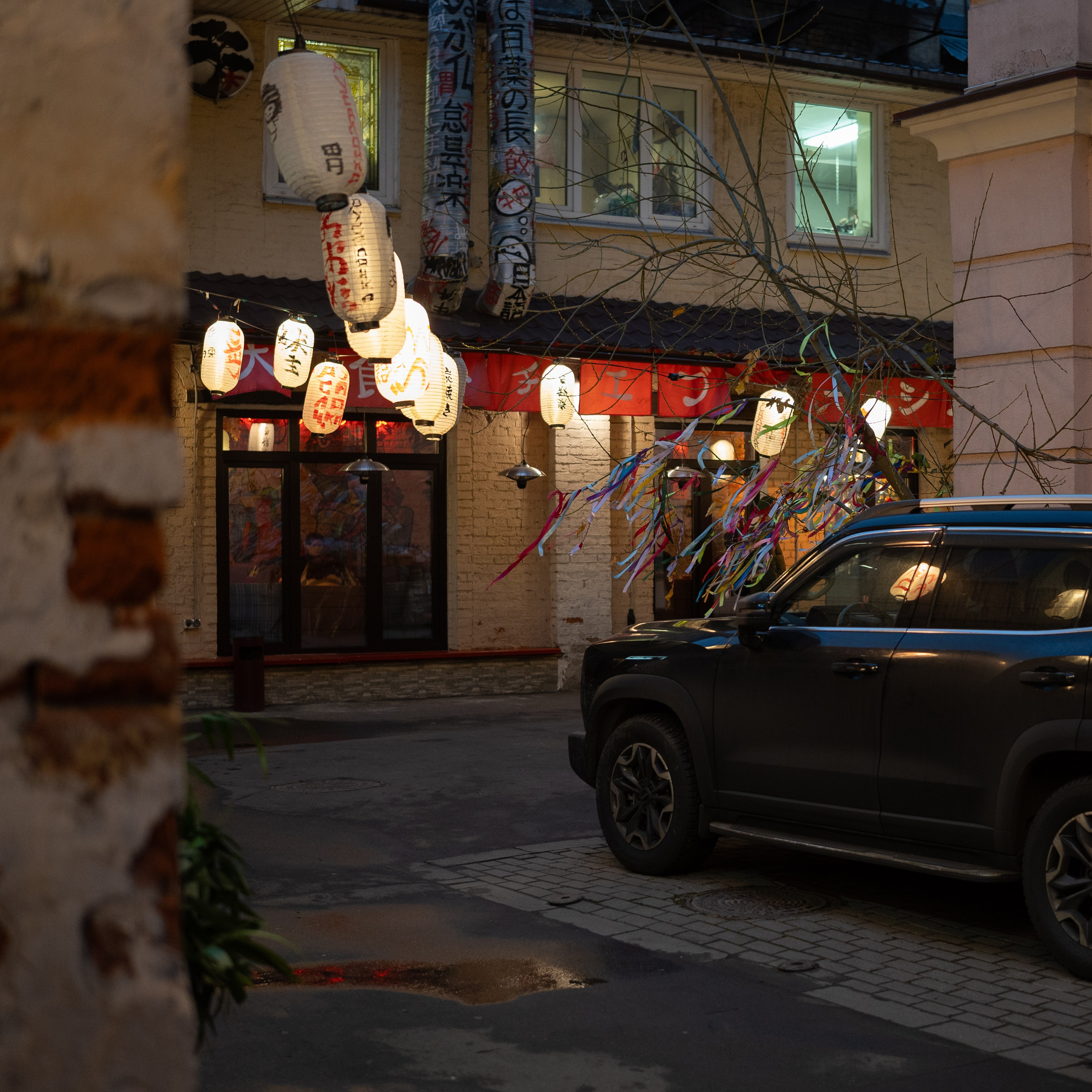 20241201 от Чеховской до Арбатской. Дмитрий Ремизов. Фотография, как хобби