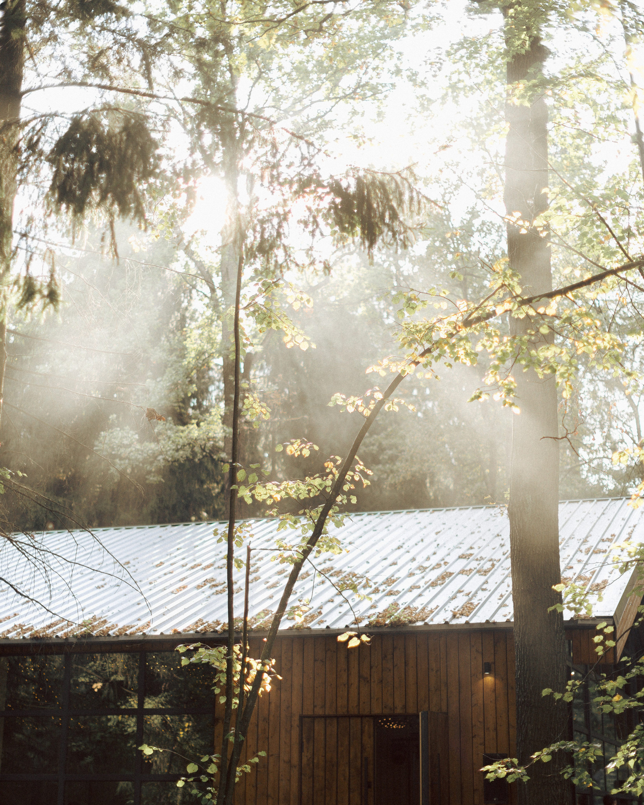 Боря и Амина. Свадебный и портретный фотограф в Москве Анна Плавская