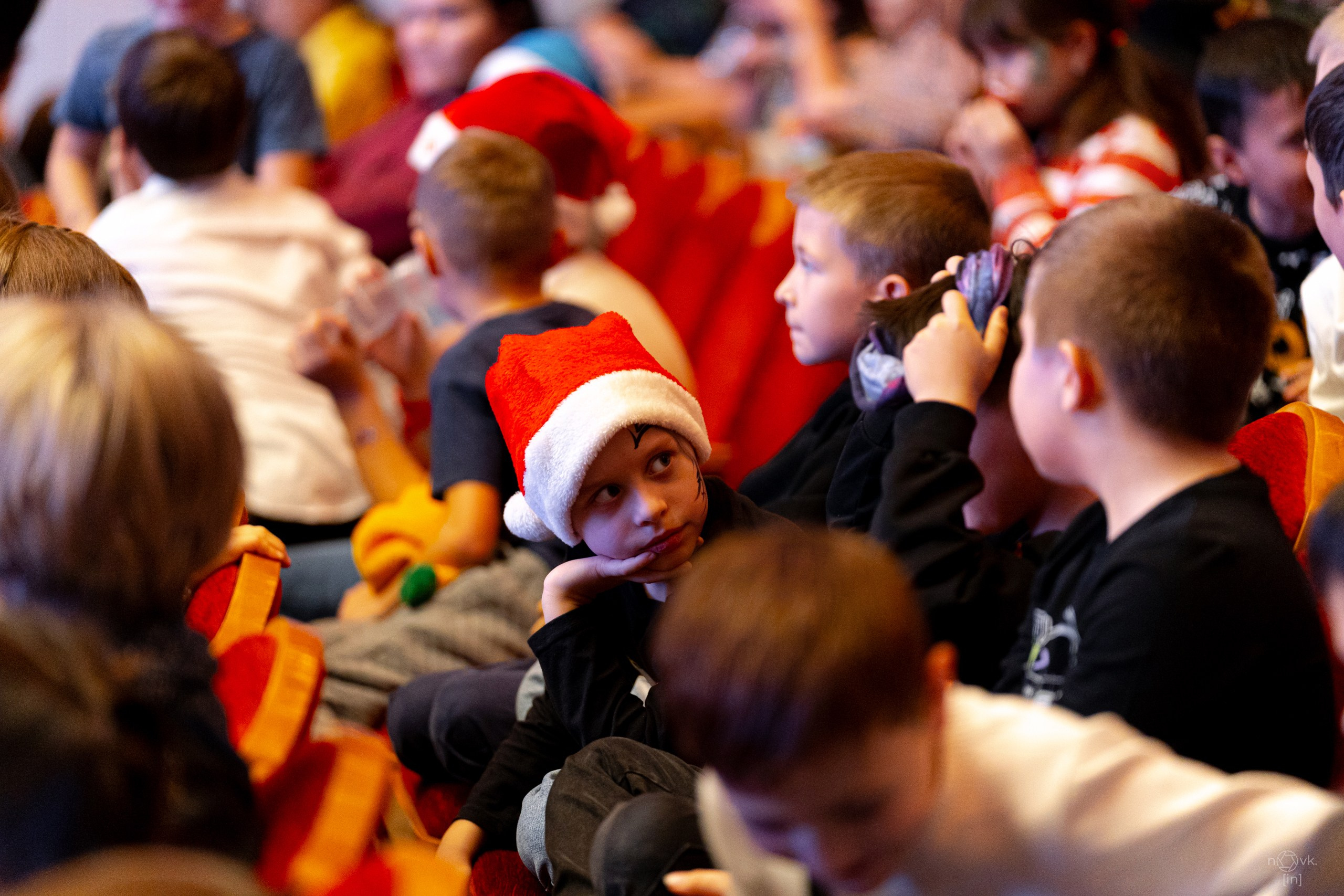 Ёлка. ФОТОГРАФ ИВАН НОВИКОВ | СТАВРОПОЛЬ