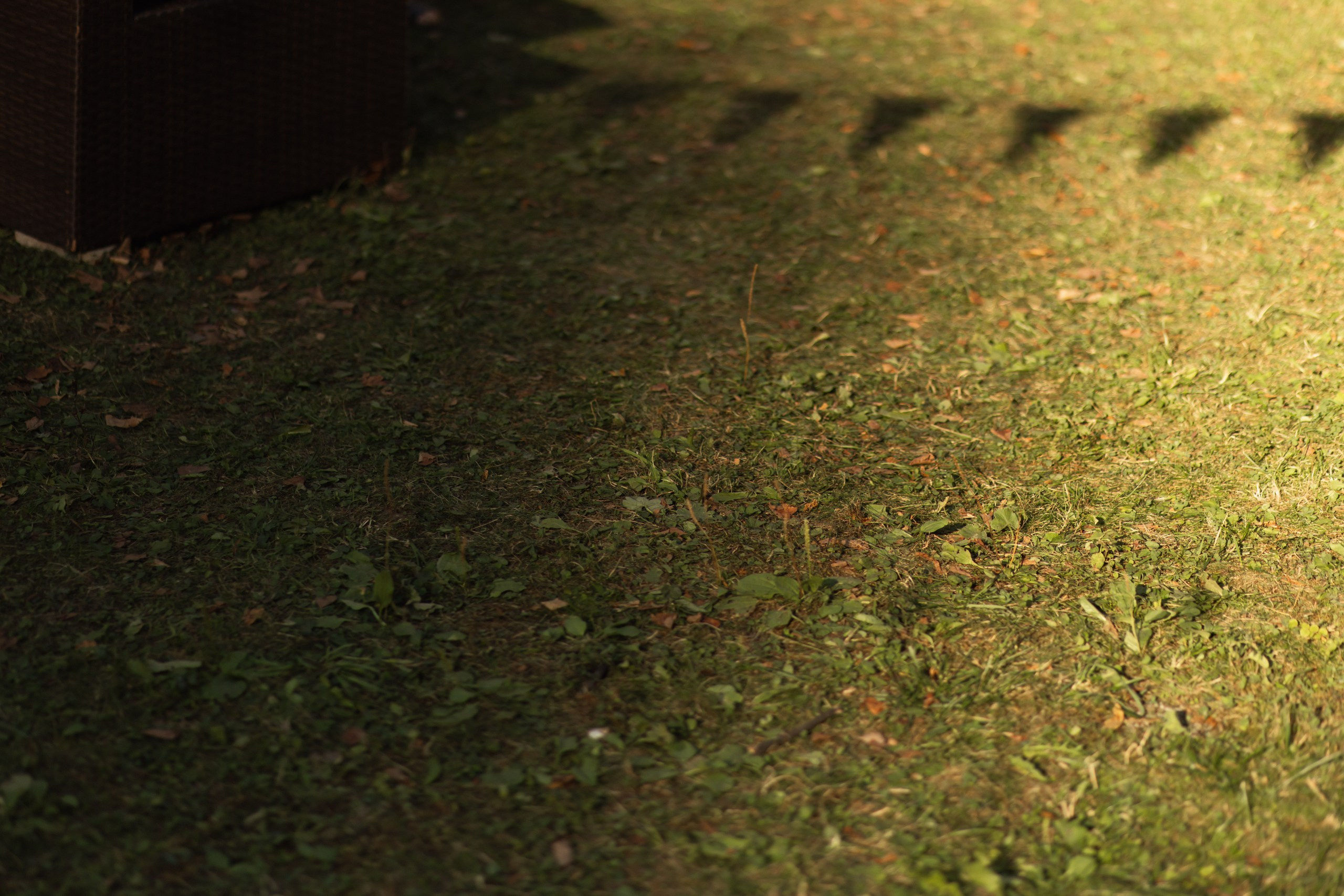 Илья и Анна. Профессиональная видео и фото съёмка в Калуге и области