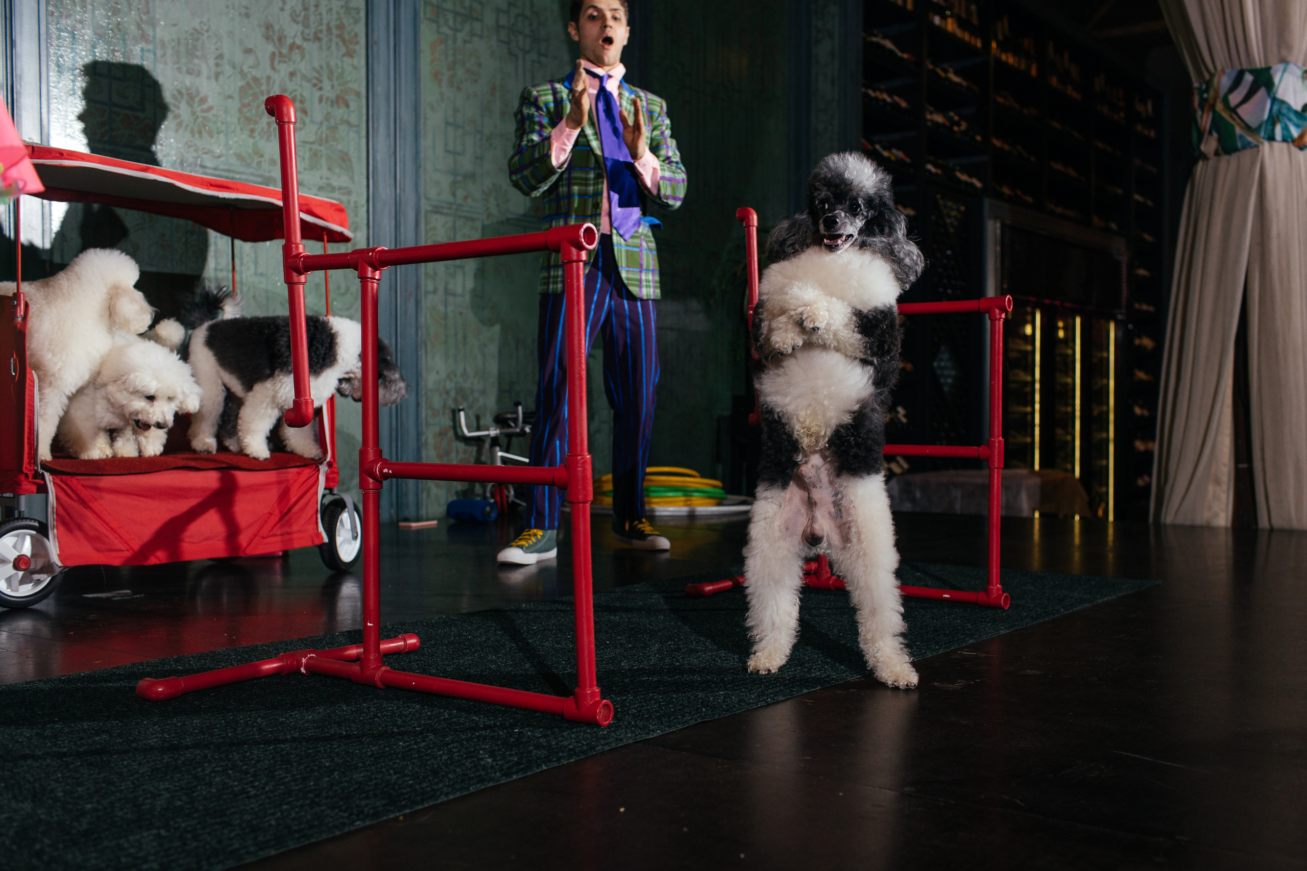 Алине 7 лет. Свадебный и семейный фотограф