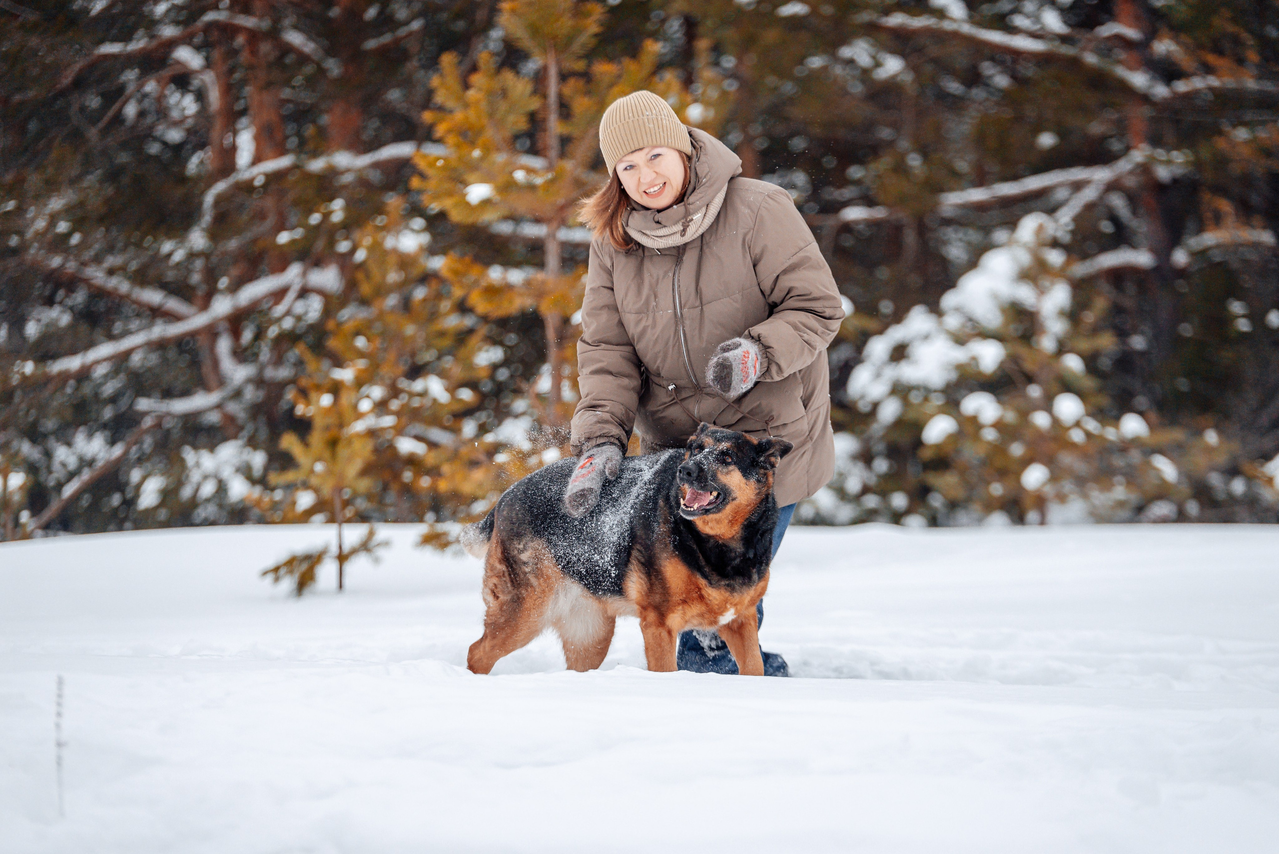 Светлана, Альфа и кошки ✨. Фотограф-анималист Анастасия Парфенова|Екатеринбург