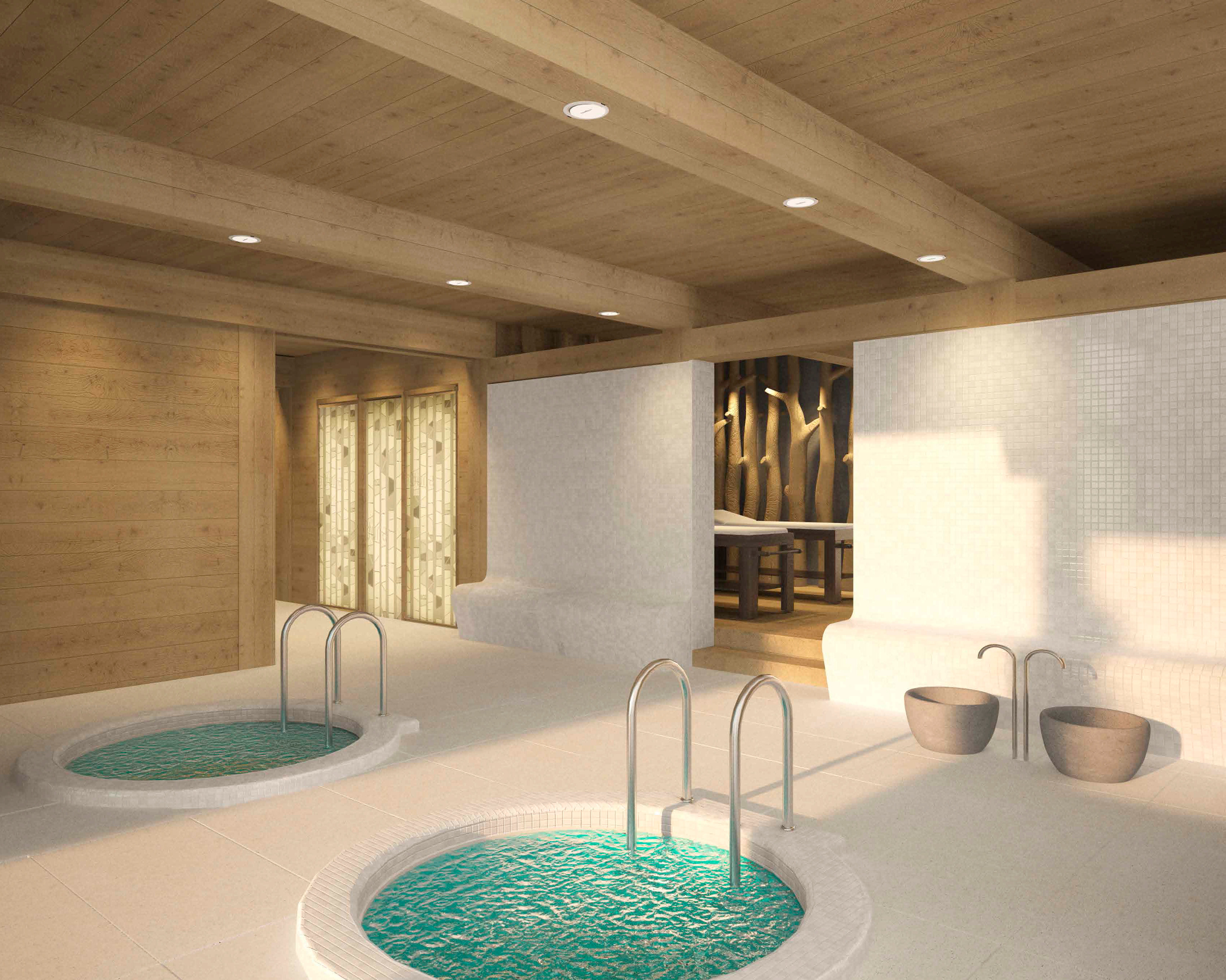 Проект Аржаники