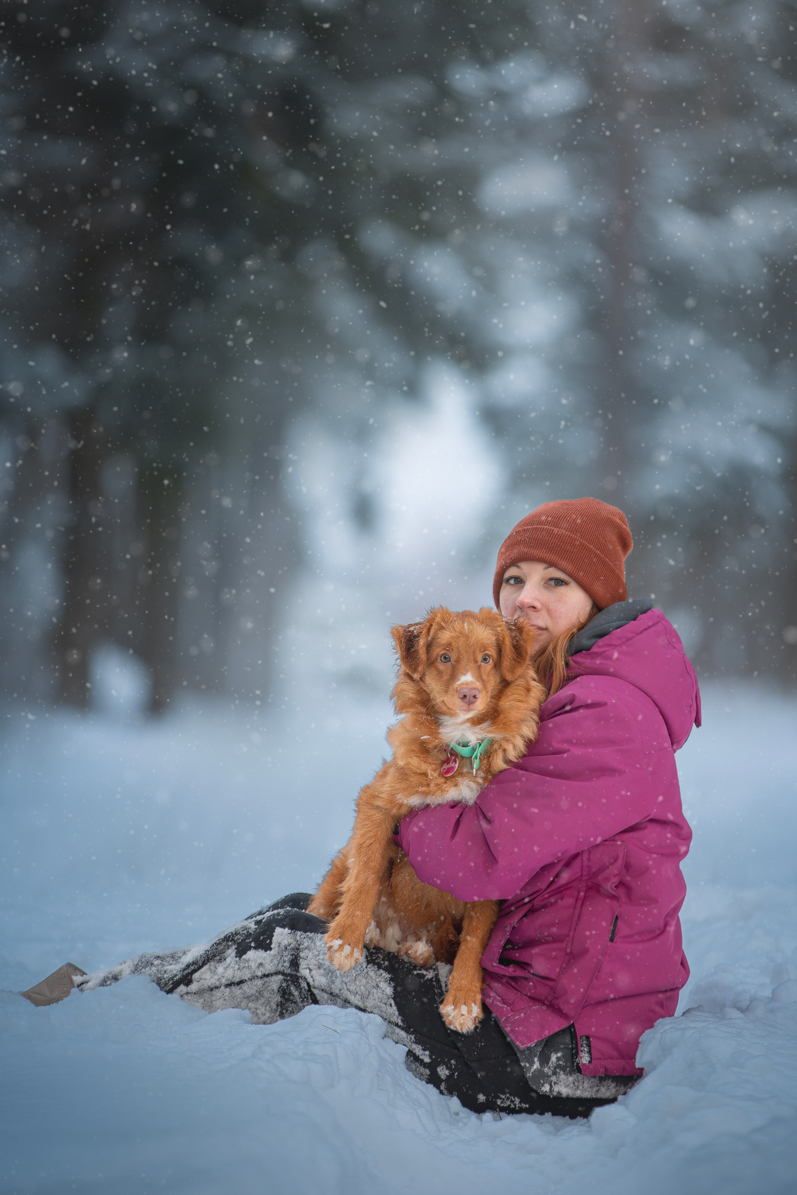 Руби, Николь, Кирилл и Мила. Фотограф анималист в Москве Майорова Евгения