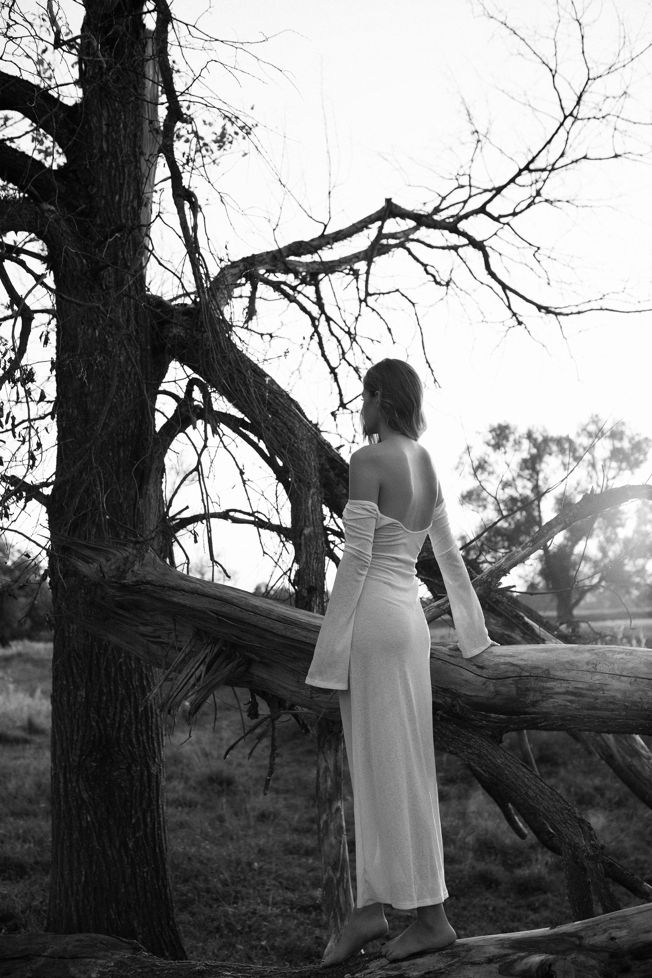 Фотограф в Киржаче и Москве