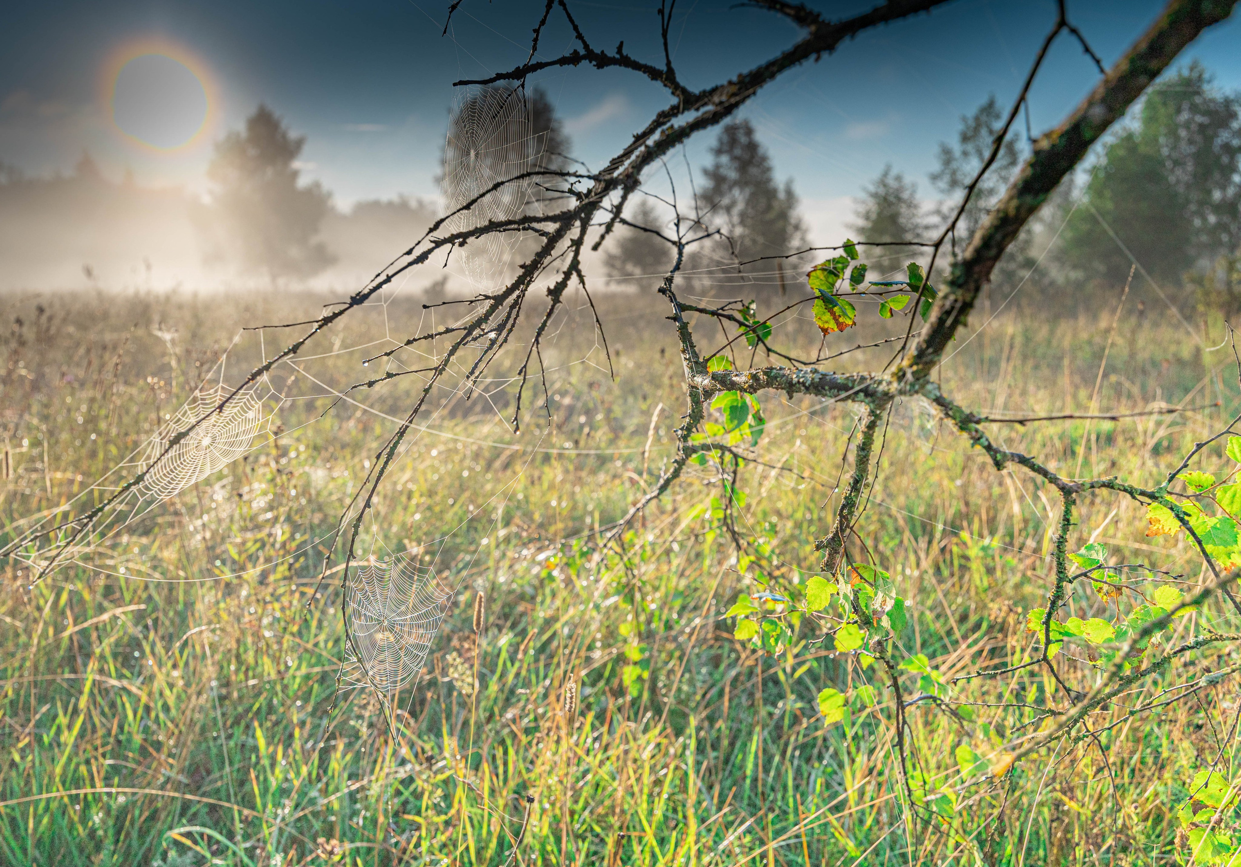ПЛАНЕТА ЗЕМЛЯ (пейзаж). АЛЕКСЕЙ КОЛМАКОВ. Фотограф. Москва и Московская область