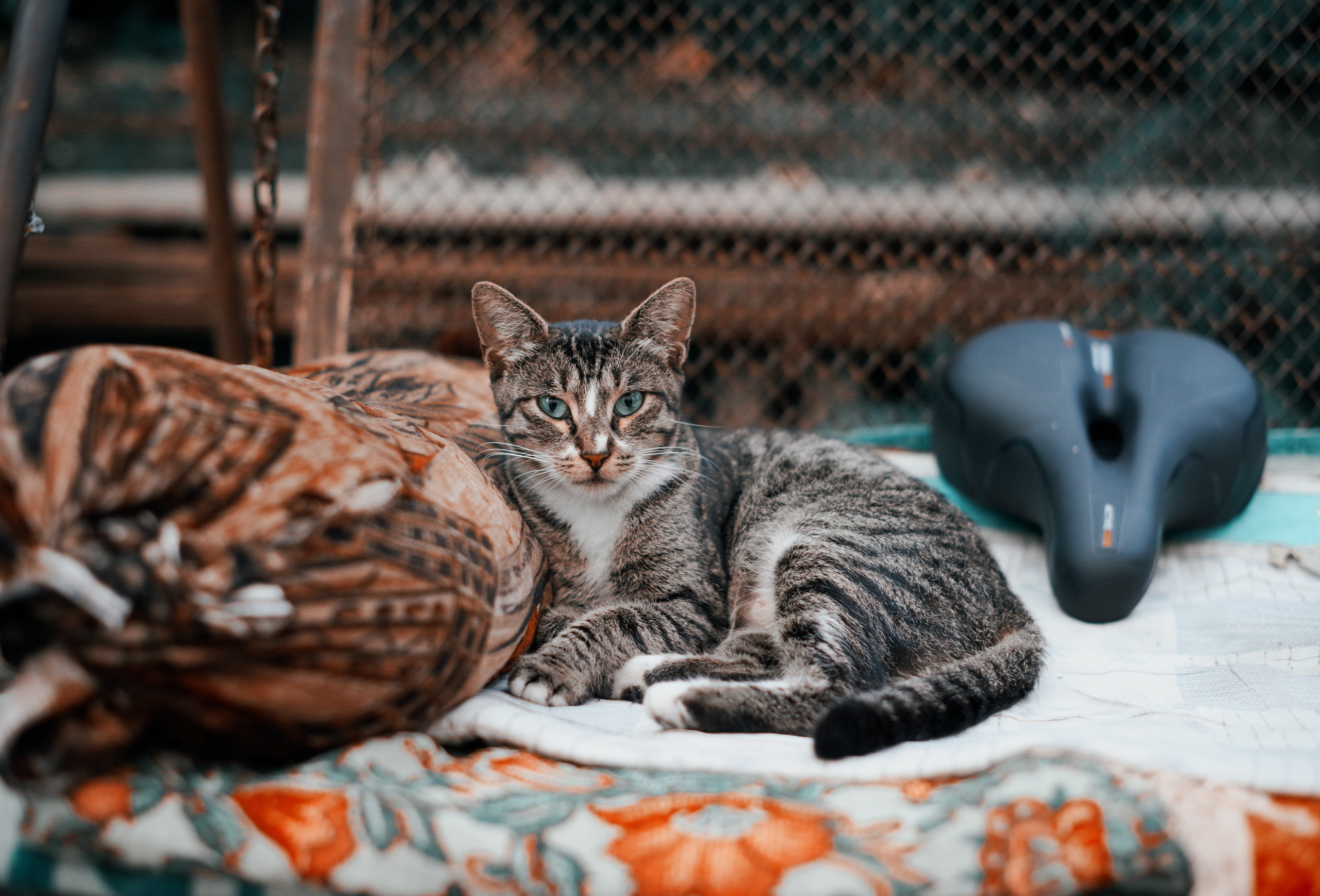 Ремонт железного коня. Портретный фотограф Денис Милютин