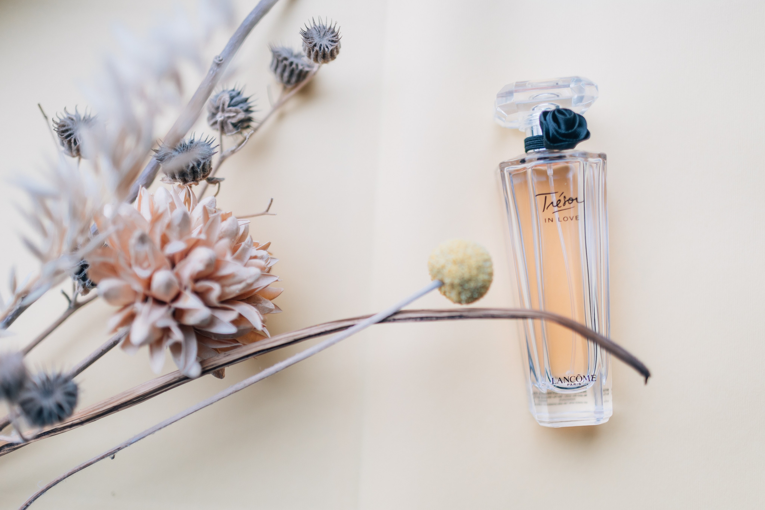 Записки сумасшедшего. Портфолио свадебного фотографа. Роман Каргаполов