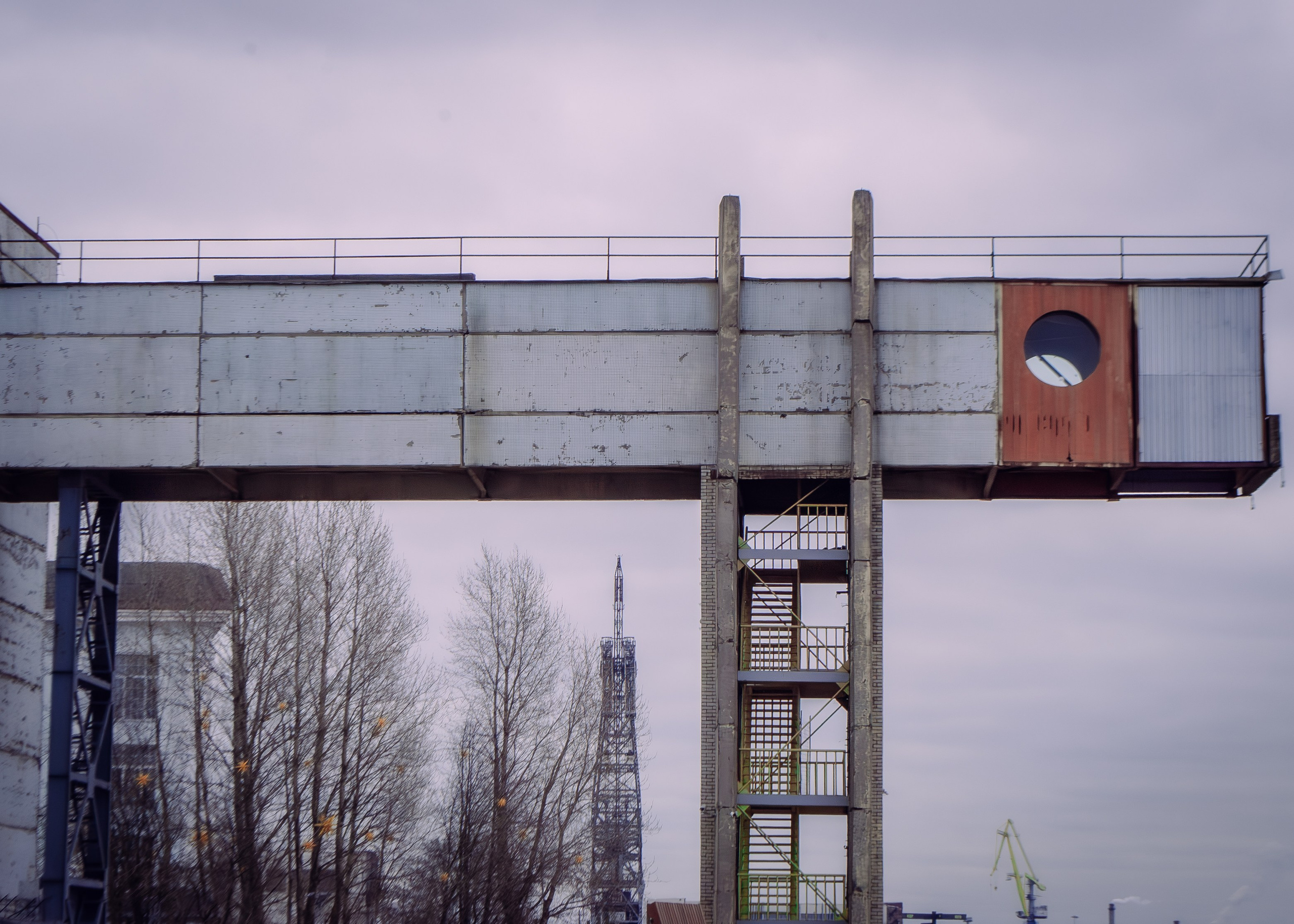 Севкабель. Портретный фотограф DanilNabody