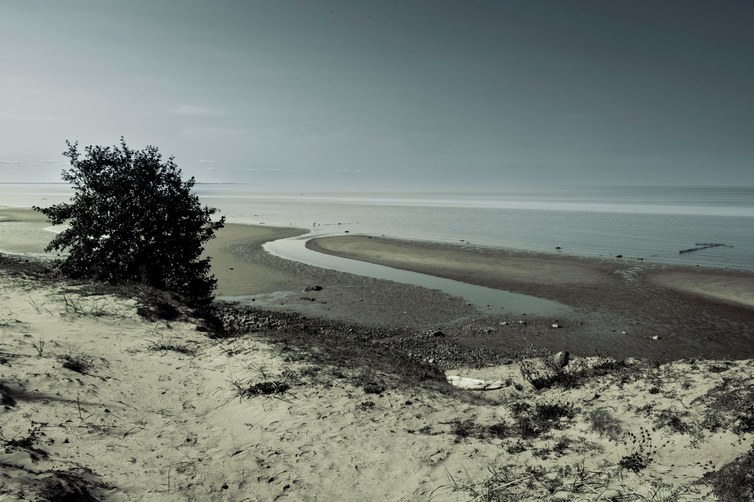 Form. Коллекция