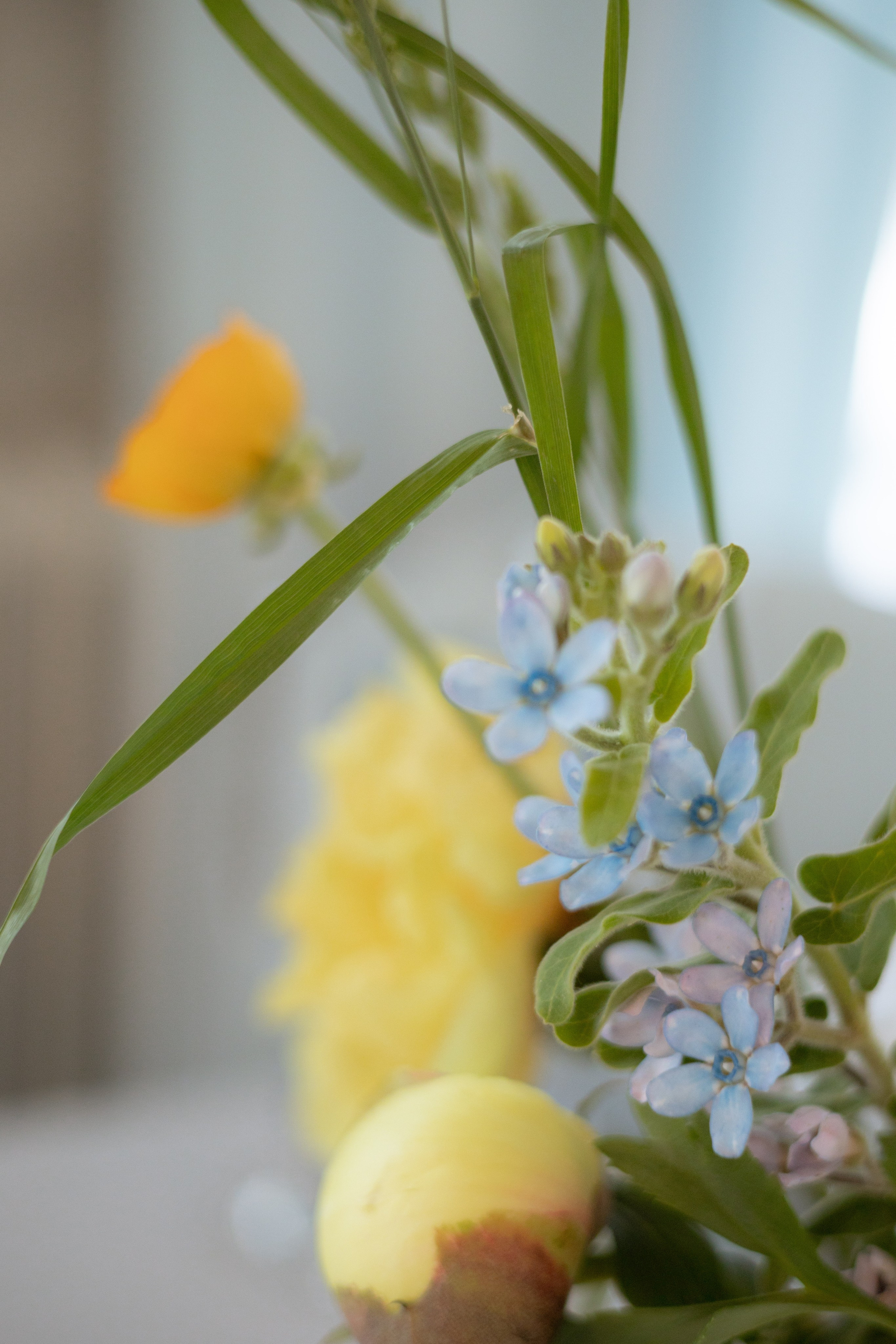 «Московское небо». Оформление свадеб, декор свадеб Вера Маркова, Москва