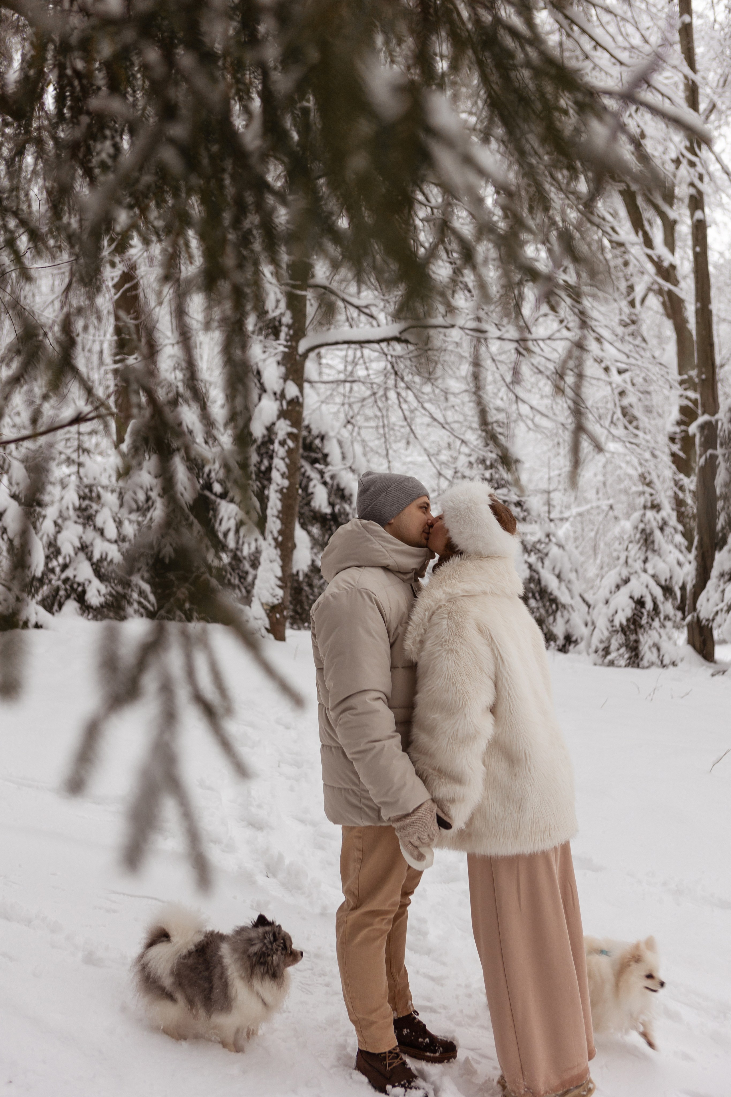 Новогодняя фотосессия с собачками в шуваловском парке. Свадебный фотограф в СПБ | Санкт-Петербурге Анастасия Рахимгулова
