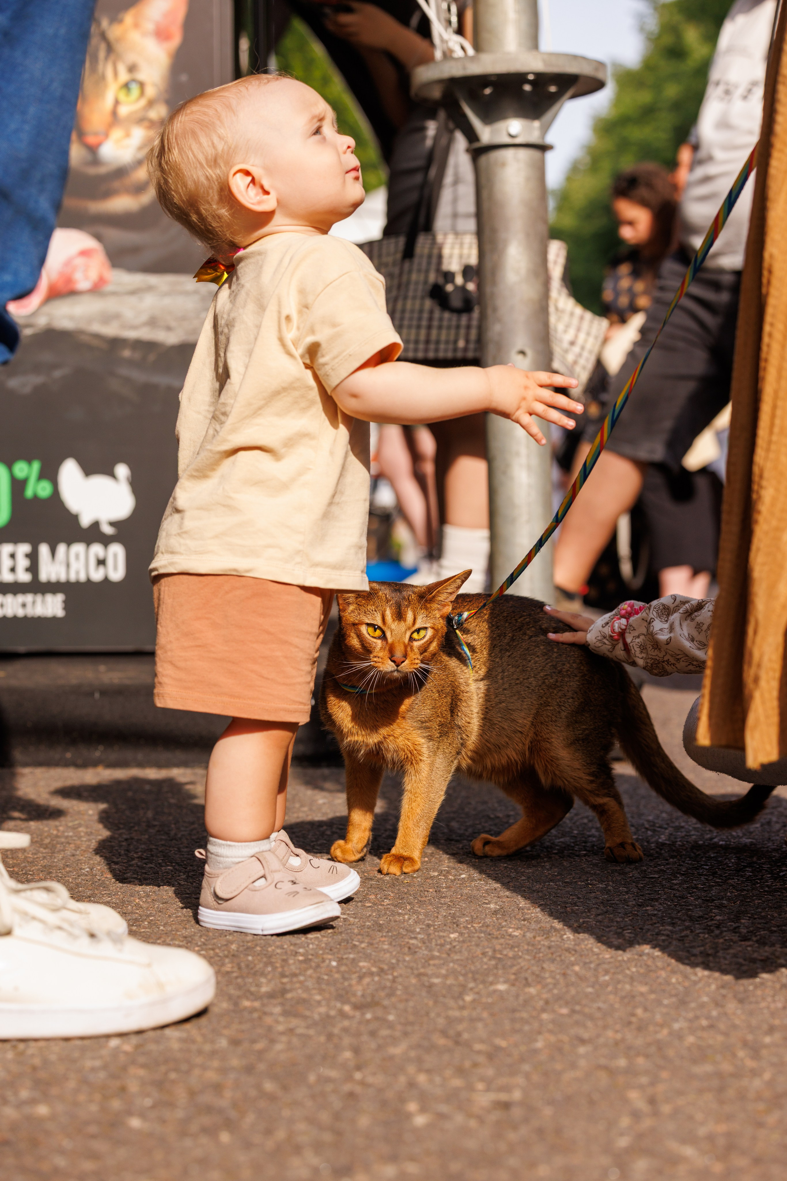 PetShopDays2026. Фотограф Александр Заломаев