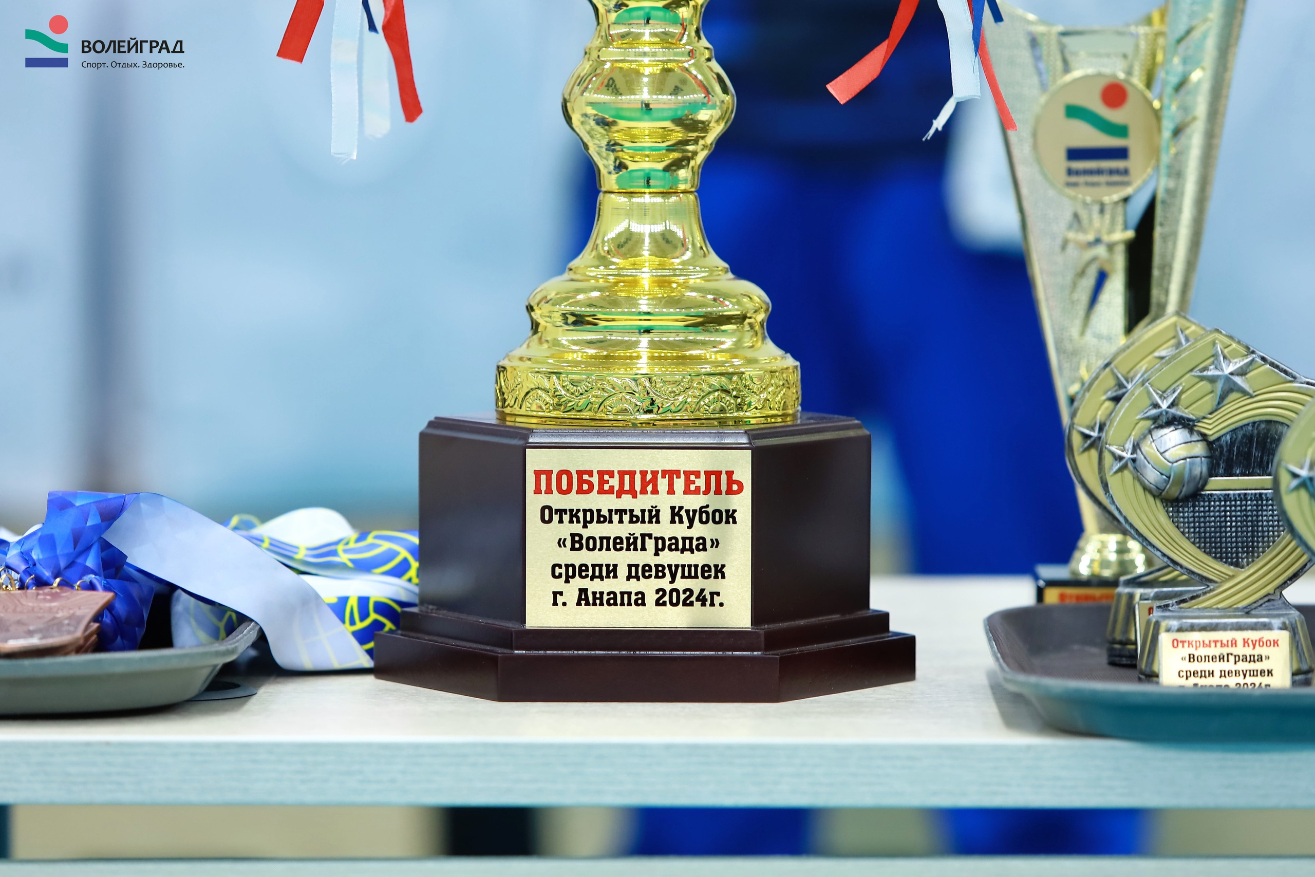 Волейбол ВФВ 07.04.24. Репортажный фотограф Анапа