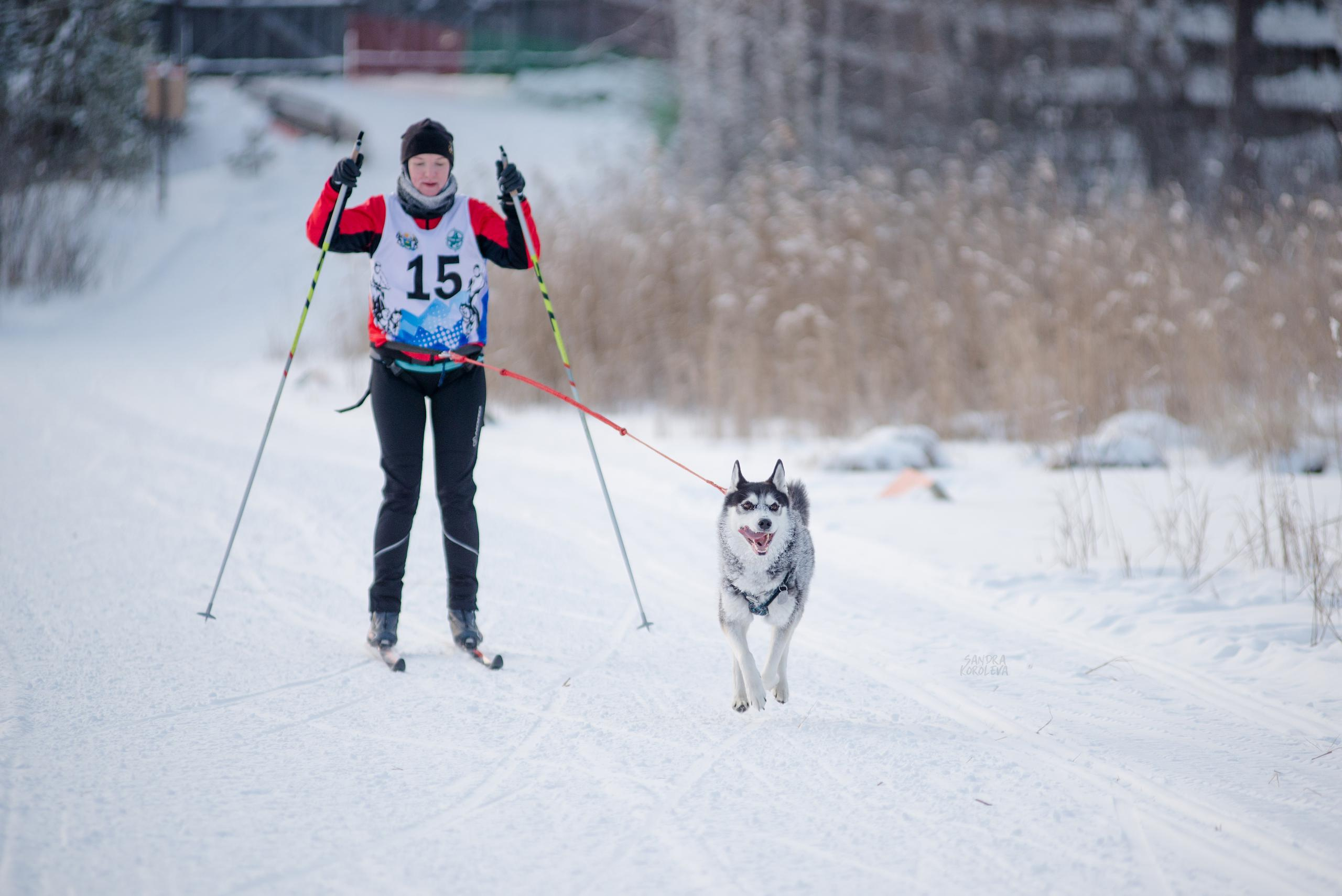 Рождественская гонка на Пруду Лесном 10.01.2021. Дог-фотограф в Тюмени Александра Королева