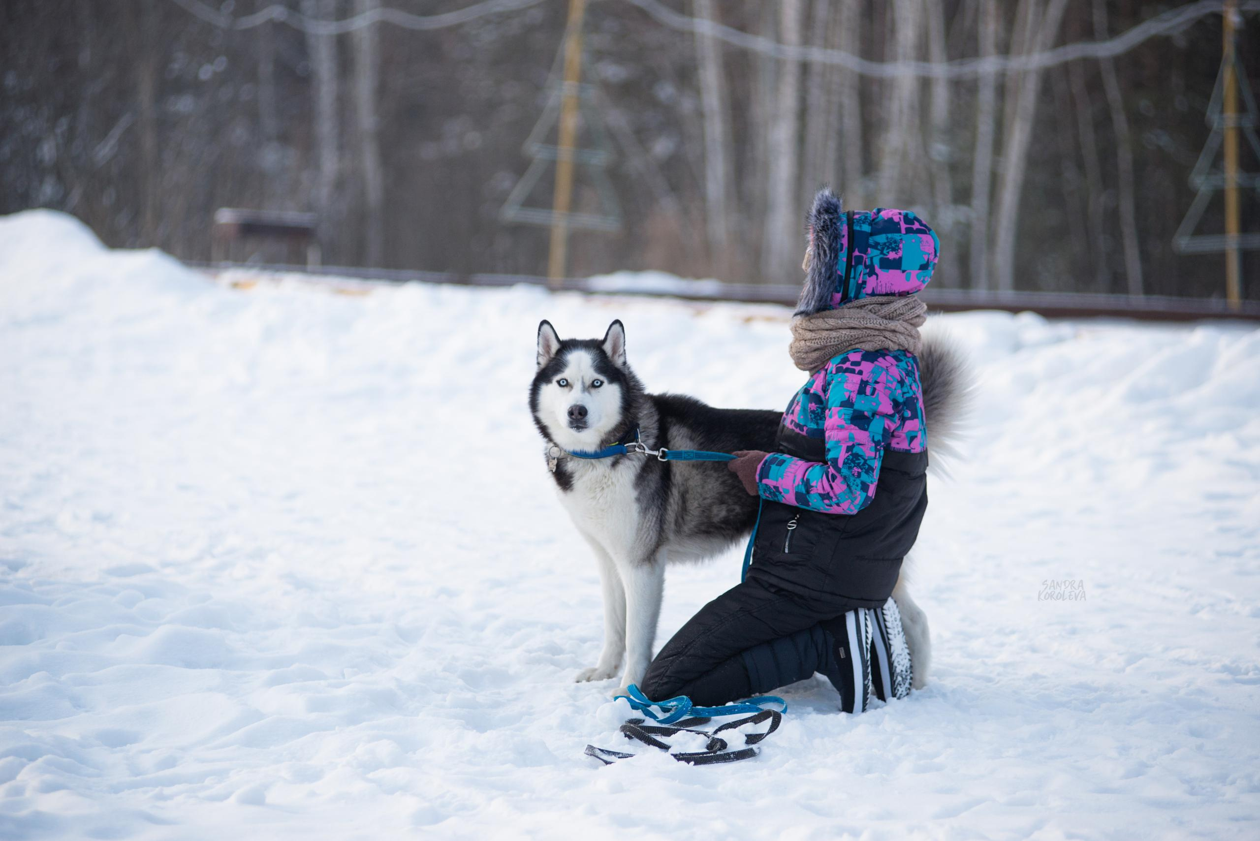 Рождественская гонка на Пруду Лесном 10.01.2021. Дог-фотограф в Тюмени Александра Королева