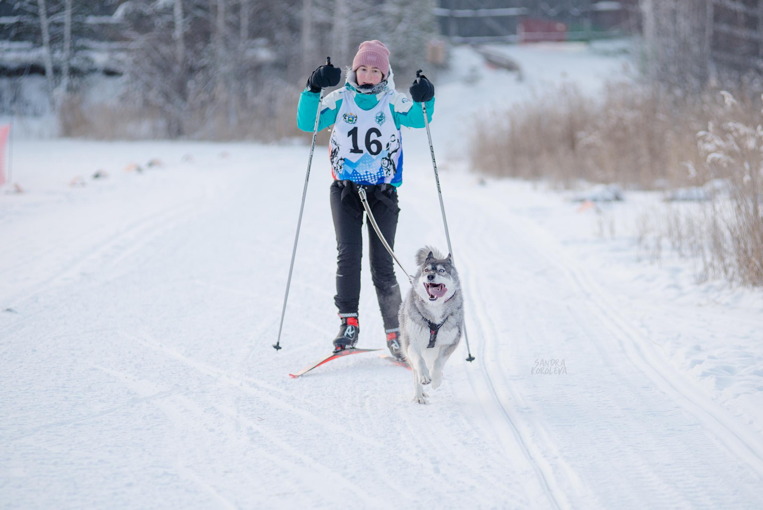 Рождественская гонка на Пруду Лесном 10.01.2021. Дог-фотограф в Тюмени Александра Королева